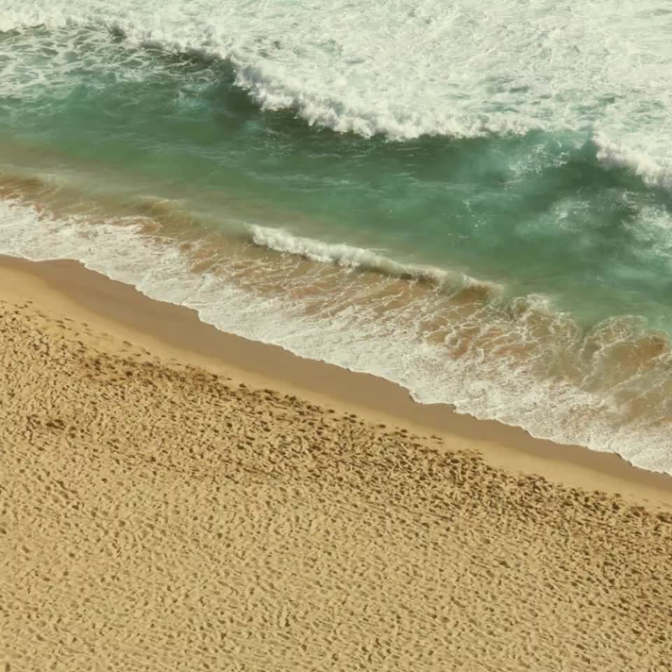 Good summer behavior doesn't just happen!
But you can WOW everyone with the best behaved dog in the beach!
Good Recall is a must on the beach ⛱️Barking isn't a problem when you can ask them to stop. Give us a call today and see how quick your sweet pups behavior can improve. 832-341-4578