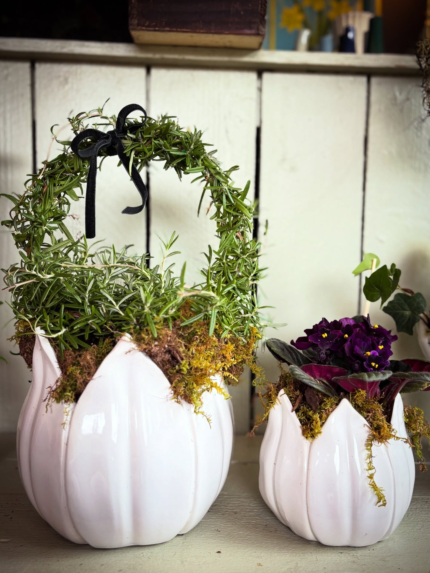 Tulip Pots filled with...not Tulips (they're too fleeting). It's all Rosemary and African Violets, here. Available on the Flower Truck! Pretty, Pretty!!