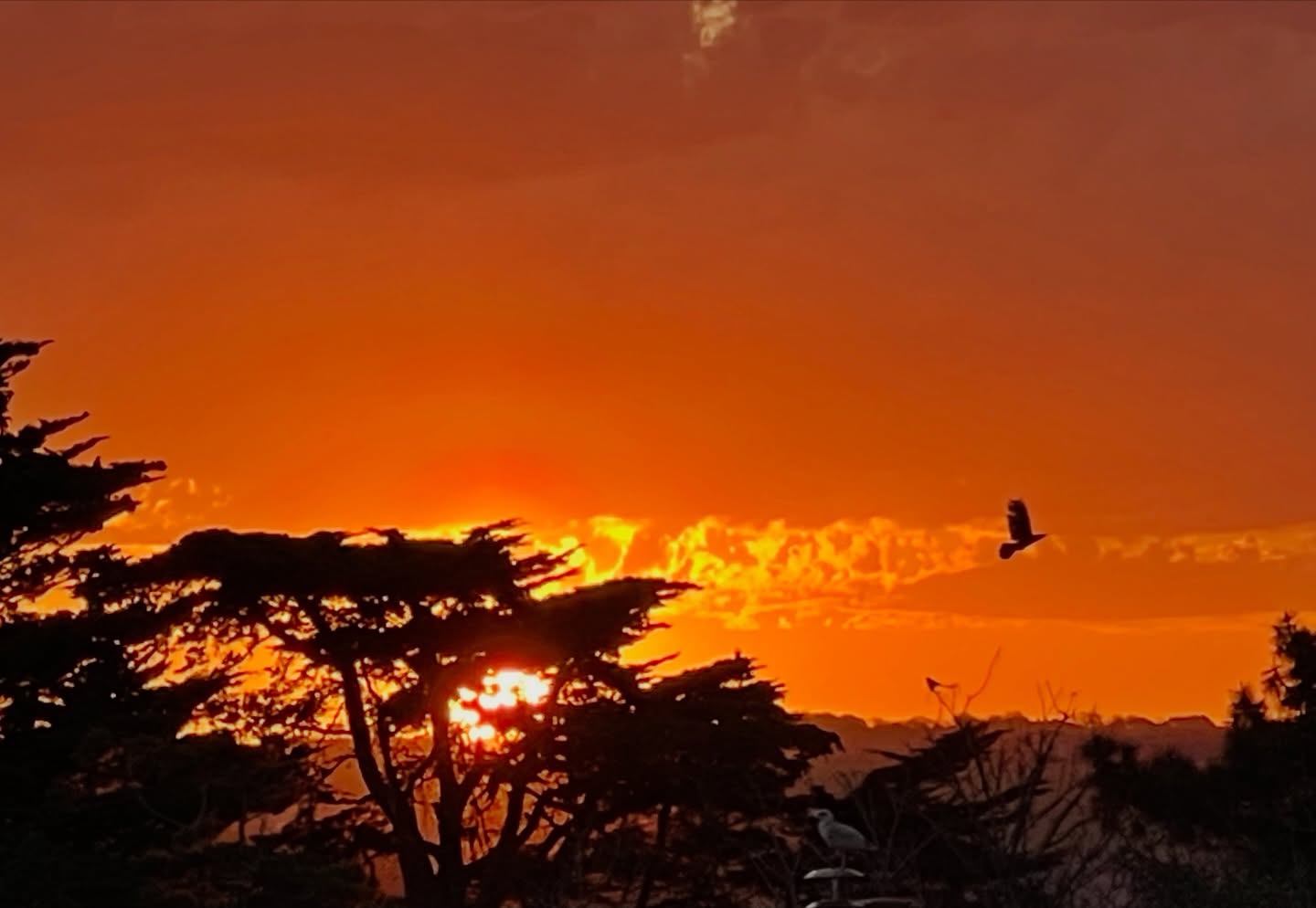 On opening our curtains this morning 🧡