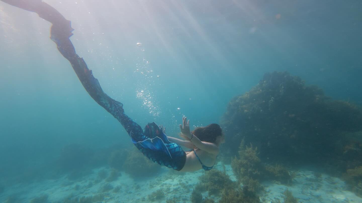 Let your dreams drift into the heart of the sea.
每一次潛入一珊瑚海,同魚仔一齊游水,都會特別享受❤️
想成為主角,下次就同我哋一齊出去外潛啦 🌊✨
📍 Alona Beach, Philippines
🧜♀️ @iamsporti
🧜♀️ @ggssihk
#padimermaid #padi美人魚 #underwater