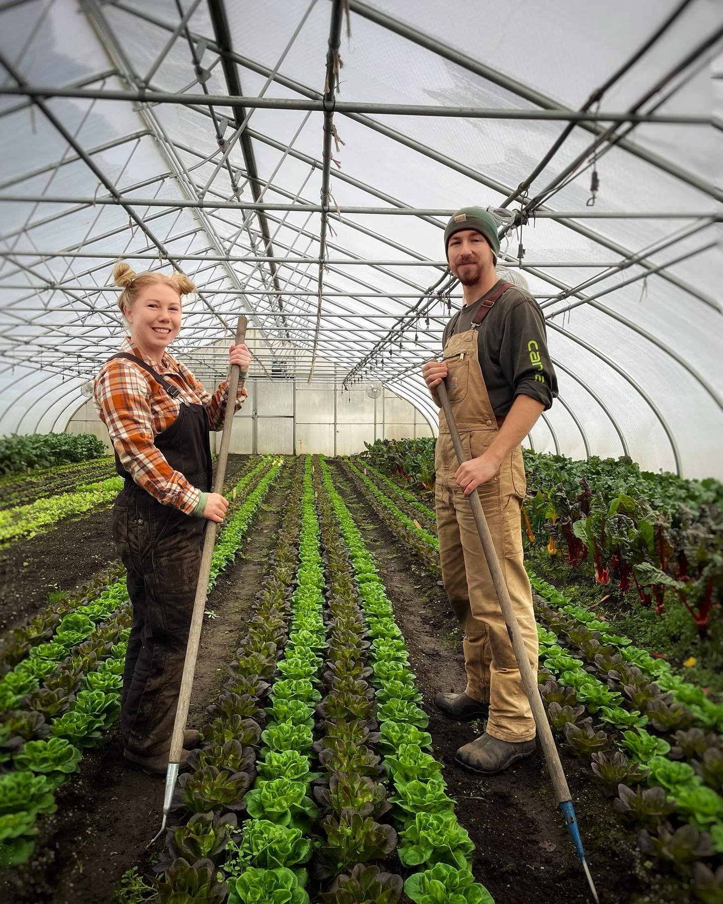 FOUR SEASON FARM IS HIRING!
Come work with us and join our team in 2023. Led by Farm Managers Jamieson & Jeremy, we are seeking two Seasonal Crew Members May to November. Application deadline February 6th. All details on website or link in bio.
#fourseasonfarm #fourseasonfarming #workatfourseasonfarm