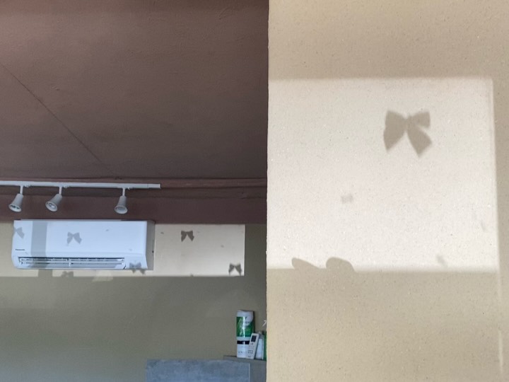 Yuduyu’s camera roll recently 📷💛