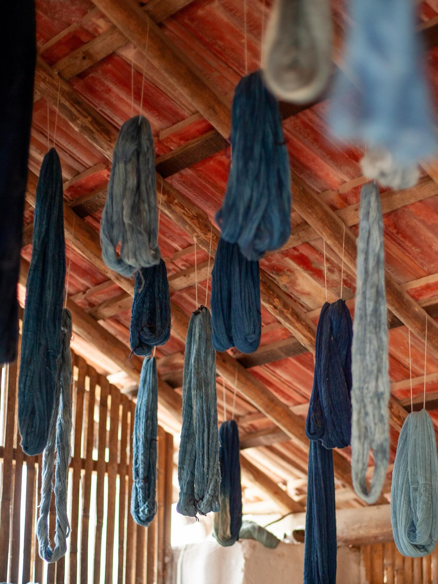 Did you know that the deep blue colour of indigo is derived from the Indigofera plant? 💙
When the fabric is dipped into the dye, it first appears green. Only when it meets the air, oxygen gently transforms it into that deep indigo blue ✨
Indigo is not only beautiful in colour, but also kind on your skin, with gentle antibacterial qualities.
We have many indigo-dyed fabrics & pieces in store that are not (yet) listed online 🤍 Store is open from Wednesday to Sunday @ Oudegracht 310 Utrecht, See you soon!