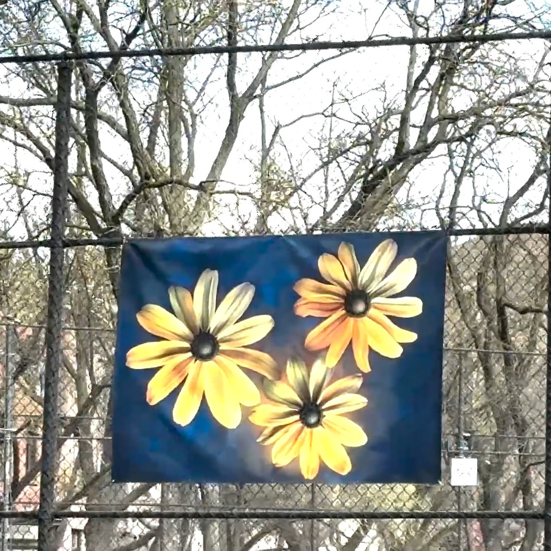 Check out Fleur-ish in JJ Walker Park. Each image has a QR code that links to more info about the plant and its meaning. You can also view on website - link in bio.
#maryanycfleurish #publicart #aiart #digitalart #flowerart @nycparks
