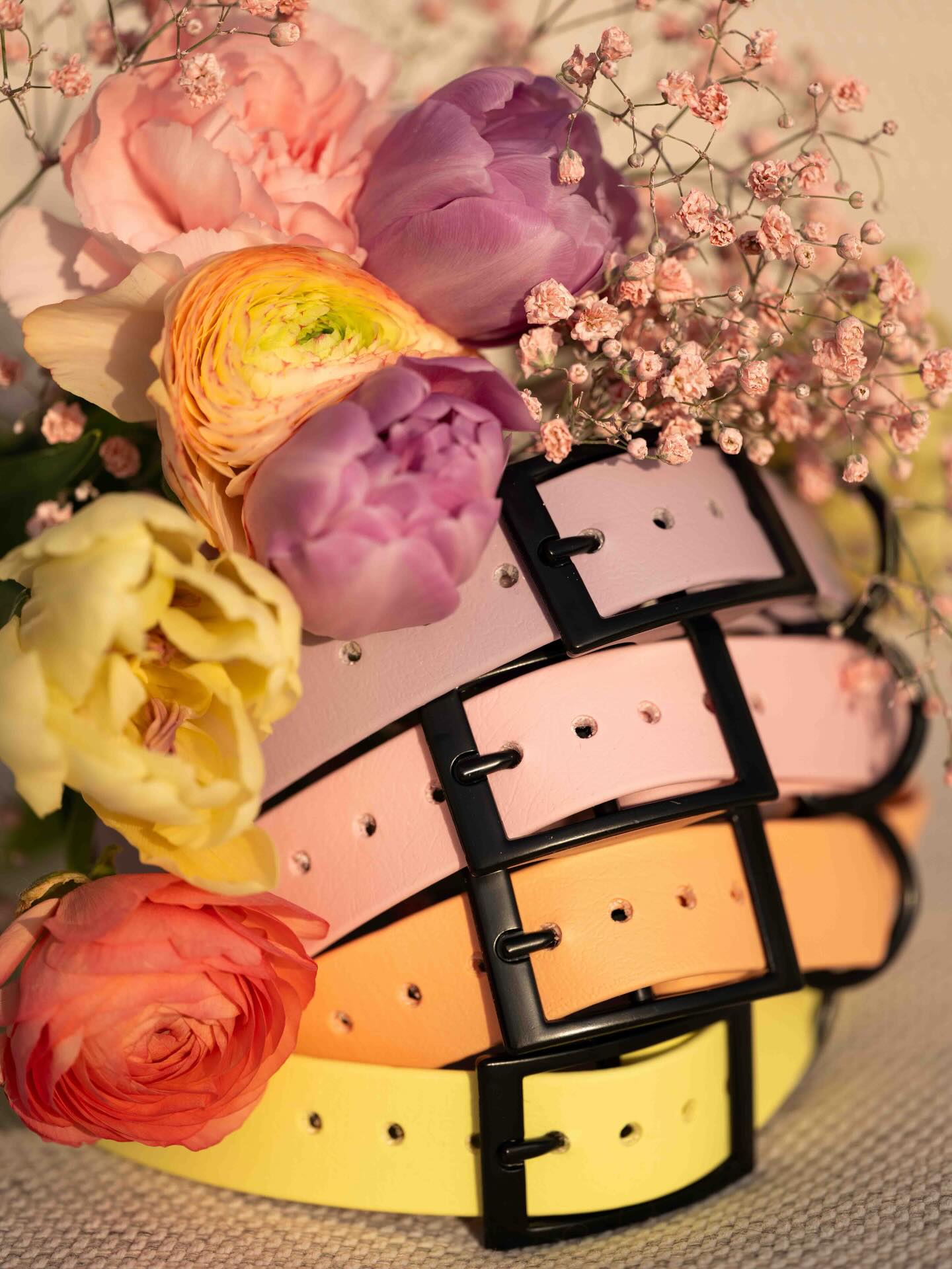 Dream Collection 💐💖
Unsere Dream Collection verzaubert mit vier sanften Pastelltönen, die Frühlingsfrische und Leichtigkeit ausstrahlen. Sanft und voller Lebensfreude fangen sie das Gefühl von Freude und Neuanfang ein. Diese Halsbänder sind mehr als ein Accessoire – sie sind ein Frühlingsgruss für stilbewusste Hundehalter und ihre treuen Gefährten.
Diese Halsbänder und vieles mehr findest du jetzt auf veryimportantdog.ch 🐾
#veryimportantdog #vid #dogwear #handmade #biothane