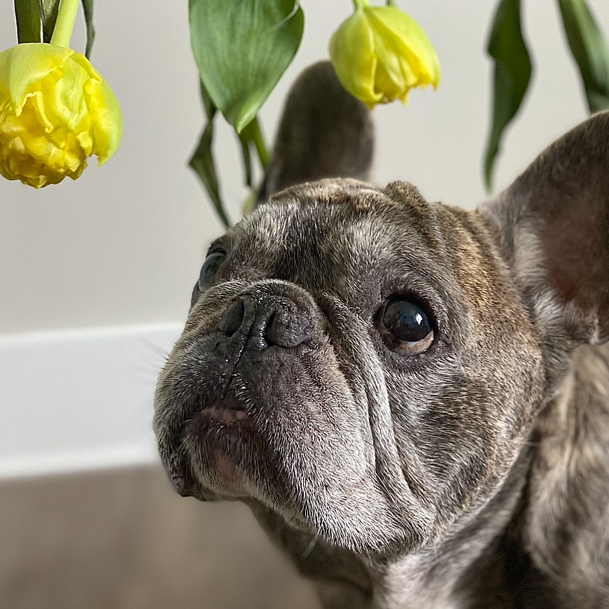 Frohe #ostern! 🐰💛 #hallofrühling #happyeaster