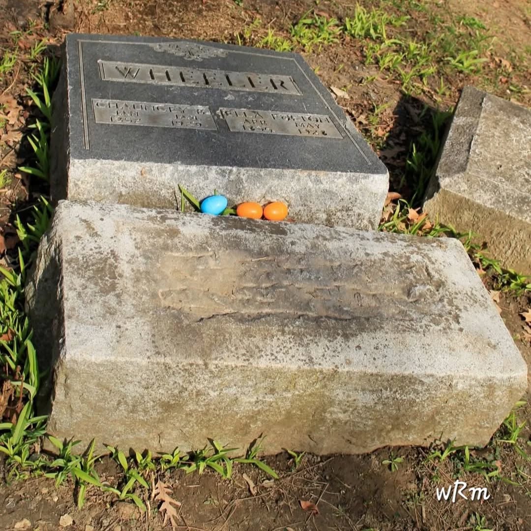 Happy Easter!!🐰🥚
Bachelor's Grove Cemetery, Midlothian, IL
#bachelorsgrovecemetery #cemeteryphotography #tombstonetravels #taphophile #hauntedcemetery