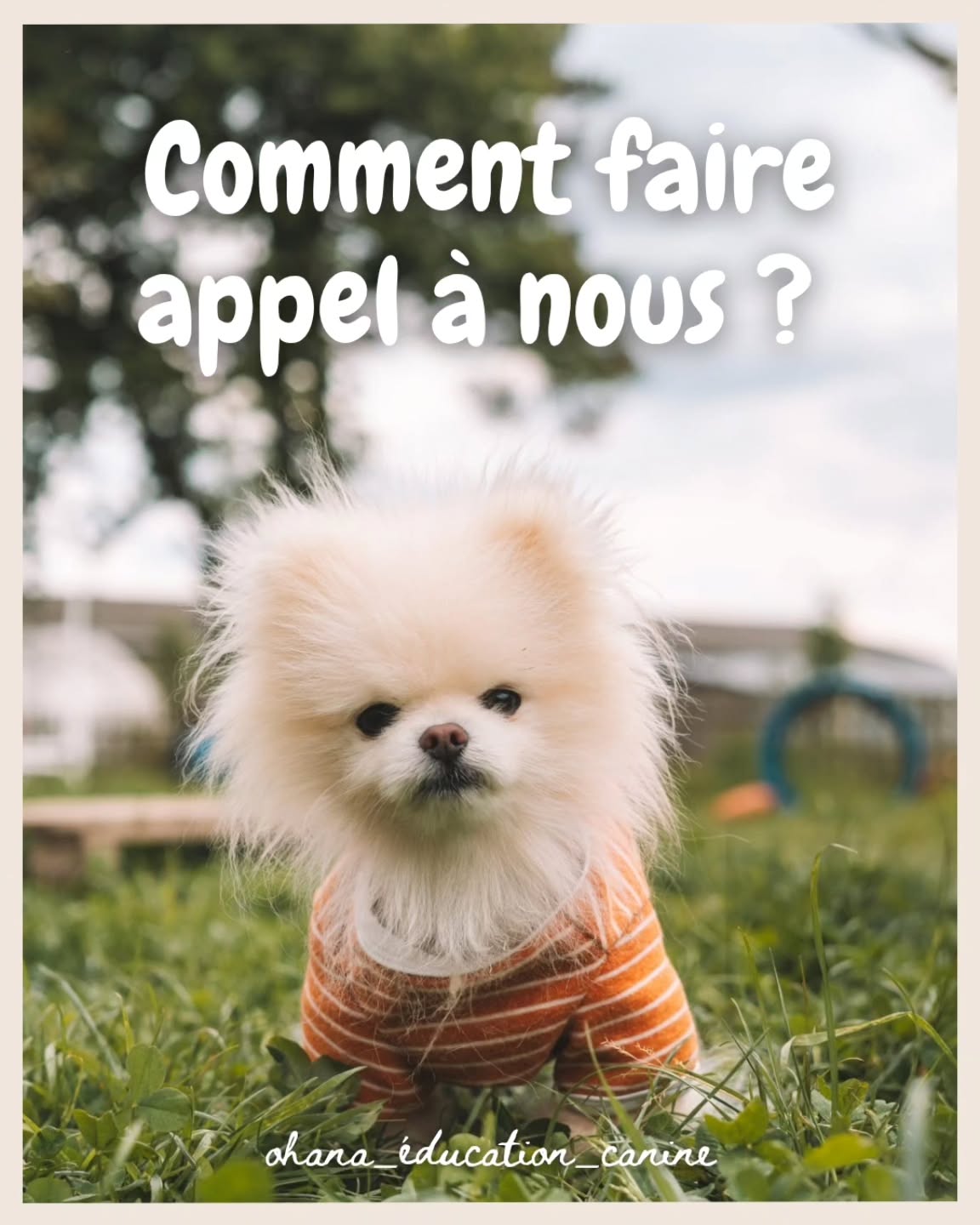Comment faire appel à nous ? 🧐
Que ce soit pour :
👉🏻 Anticiper l'arrivée de votre futur compagnon (chiot/adulte - d'élevage ou de refuge) 🐶
👉🏻 Prendre les bons réflexes dès ses débuts à la maison (propreté, socia, solitude, mordillements, marche en laisse, rappel etc) 💪🏻
👉🏻 Vous aider dans les problématiques que vous rencontrez au quotidien à la maison et/ou en balade (réactivité congénères, fugue, aboiements etc) 🫂
👉🏻 Passer un super moment avec votre toutou en Agility 😎
👉🏻 Participer à des balades collectives et/ou à des cours collectifs 👬👫
〰️〰️〰️〰️〰️〰️〰️〰️〰️〰️〰️〰️〰️〰️〰️〰️〰️〰️
Il n'y a rien de plus simple, il vous suffit de m'envoyer un message via WhatsApp en m'expliquant la raison pour laquelle vous souhaitez faire appel à nous !
➡️ Je vous enverrai un formulaire détaillé (questionnaire pré-bilan) ainsi que toutes les informations à connaître avant notre rencontre (tarif, lieu de rdv etc) 📝
➡️ Pour finir, vous pourrez réserver un créneau grâce à un lien Calendly que je vous transmettrai lors de notre échange 💪🏻
⚠️ Tant que je travaille avec ma fille de 2ans👶🏼, je ne peux plus prendre en charge de chiens réactifs enfants et/ou humains si il y a un risque de morsure pour éviter tout accident malheureux 🤕
👋🏼Si on ne se connait pas encore, bienvenue !!!
🙋🏻 Moi c'est Margot de Ohana Éducation Canine
🐶 Éducatrice en positif basée à Le Rheu en Ille-et-Vilaine
☎️ Pour réserver il faut me contacter au : 07.77.86.58.03 via WhatsApp
📍Je me déplace à 20km autour du Rheu sans frais kilométriques 🚐
💻 Mon site internet : ohanaeducationcanine.com
À très vite !!! 👋🏼
📸 Photo de @minipixproduction 🤍
