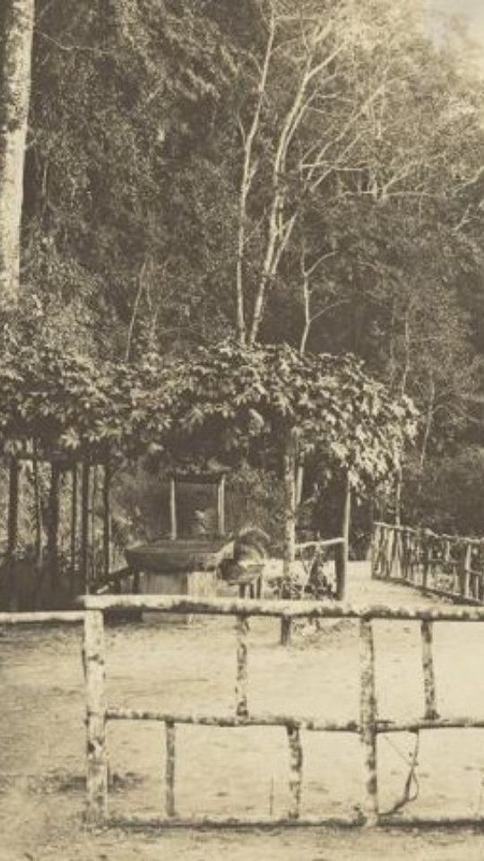 O Parque Nacional da Tijuca tem trilhas e mirantes incríveis para conhecer, esse é só um deles. 😉
Está com viagem programada e querendo conhecer a cidade fora do óbvio? Vem comigo que eu Te Guio no Rio. 🥳
Me chama no Direct. 🥰
#parquenacionaldatijuca #riodejaneiro #mesadoimperador