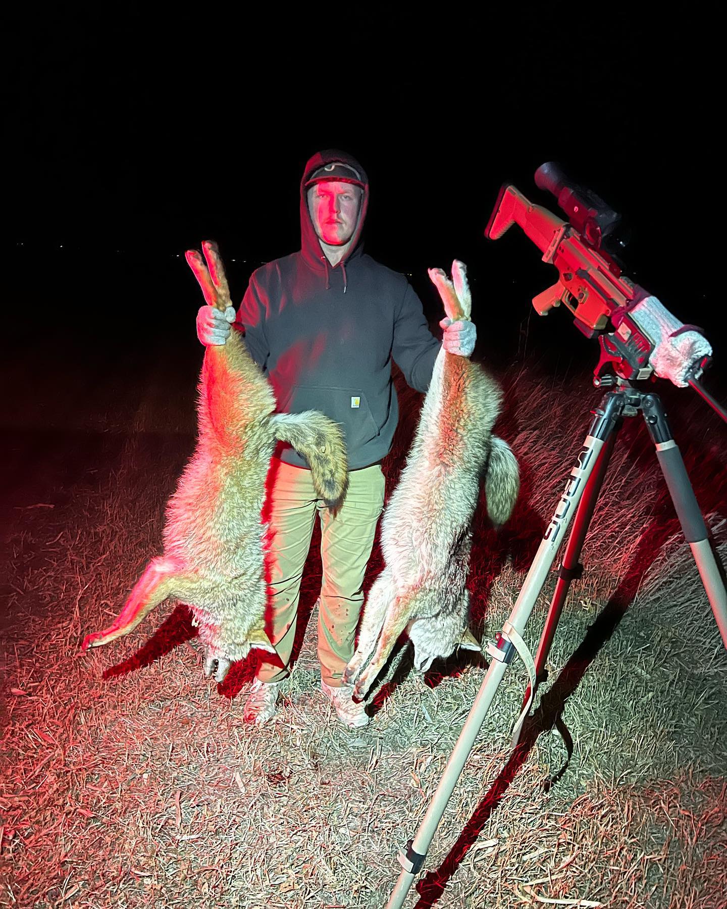 Had a good Saturday night, with this warm weather the coyotes felt frisky. Flair brought them right in under 100yds and the rest is history!