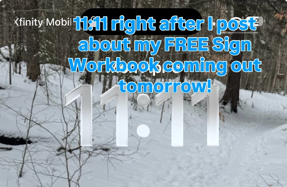 Another sign today! 11:11 right after I post about my new FREE Sign Workbook!