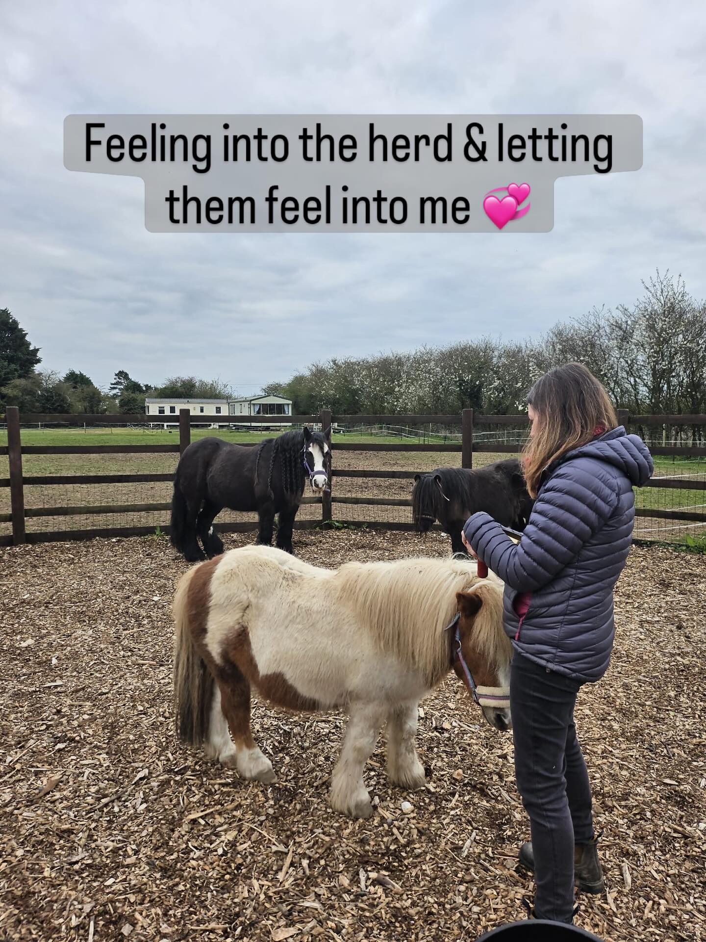 Pedro and I are now living at @thewayofthehorse_ I can’t believe it’s been just over a week since we moved!!! We have been slowly settling in to a new land, home, herd & family 🫶🏻 there are lots of exciting things happening here over the coming months. Fire Horse Retreats & EquiSound Sessions are just a few 🐴💞Will keep you updated as we go along 🙏🏻 #herdliving🐴💞 #newadventure💓 #trusthorpeliving💓