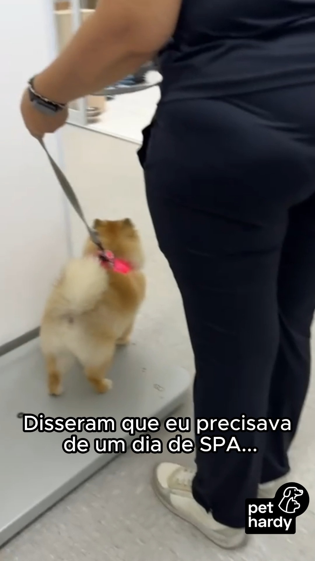 O GLOW UP QUE VOCÊ RESPEITA! ✨ 🐾
Não é apenas um banho e tosa; é uma transformação completa de autoestima (e fofura!). Dizem que a beleza vem de dentro, mas depois de passar pelo nosso atendimento especializado, fica difícil não notar o brilho por fora também! 😍 🛁
Olha só esse resultado: pelagem sedosa, hidratação em dia e aquele cheirinho que a gente ama. Afinal, todo pet merece um dia de estrela e sair daqui se sentindo a versão mais linda de si mesmo. ✨ 🎀
Aqui na Pet Hardy, cuidamos de cada detalhe com muito amor e técnicas que respeitam o bem-estar do seu melhor amigo. O sorriso no rosto do tutor na hora da busca é a nossa maior recompensa! 🏠 🧡
O seu pet também sai daqui se achando o dono da rua? Comenta aqui o que você mais amou nessa tosa! 👇
Pet Hardy | Clínica Veterinária e Pet Shop
📍 Av. Miruna, 272 - Indianópolis - São Paulo/SP
📲 Whatsapp (11) 91346-6234
#PetHardy #GlowUpPet #BanhoETosa #AtendimentoEspecializado #BelezaAnimal #PetShopMoema #Indianopolis #DogLovers #InstaPet #TosaPerfeita #CuidadoComAmor