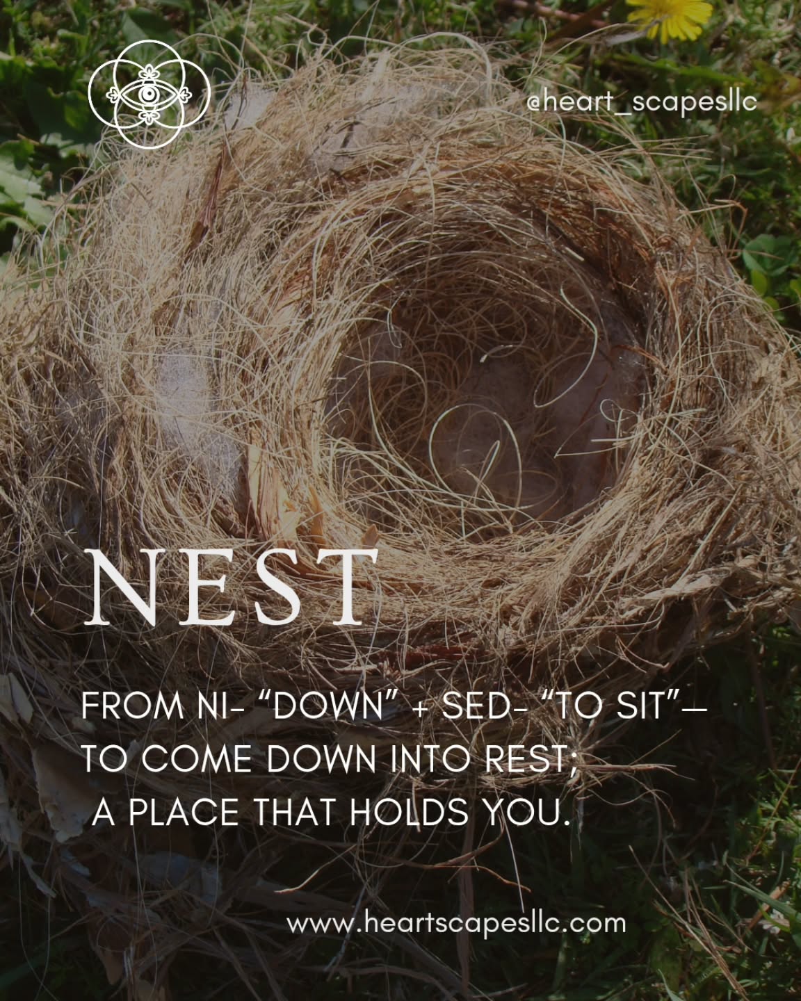 This month's theme in Women's Midlife Restoration Circle is Nest 🪺. Its about crafting you own place to "down sit" which is why its 90 minutes just for you!
#FresnoEvents #fresnowellness #restorativeyoga #womenshealth