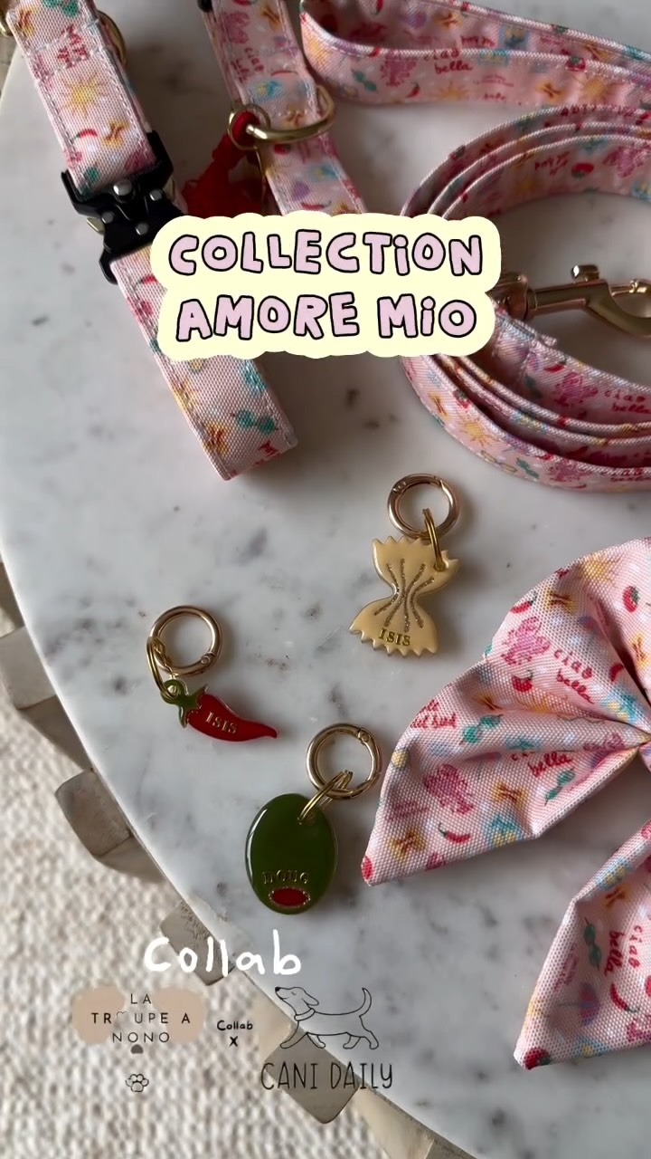 ✨ ELLE EST ENFIN LÀ ✨
La box AMORE MIO collaboration avec @latroupeanono X @canidaily est disponible dès maintenant sur le site 🤍
On est tellement heureuses et fières de vous la dévoiler enfin !
🐶🦴 Retrouvez-la dès maintenant ici : https://canidaily.boutique/accueil
On a mis beaucoup de cœur dans ce projet et on a tellement hâte de découvrir vos retours, vos photos et de voir vos loulous en profiter 🥹✨
Merci d’être toujours au rendez-vous pour faire vivre nos plus beaux projets 🤍
#accessoirechien #dogaccessories #handmade #dogsofinstagram #doglovers