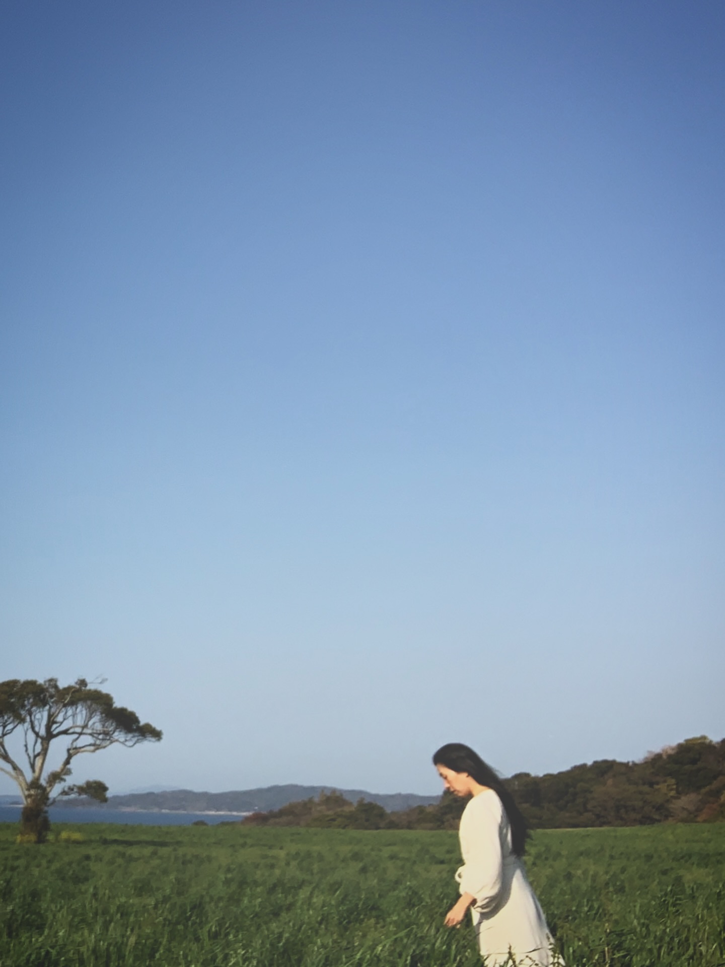 Spring Equinox. Starting my fourth annual "Spring Singing Pilgrimage."
This is a journey to resonate with the Earth and Nature— A long-envisioned dream that now surpasses all past experiences. Nearly ten days in, the path continues on a scale more grand and sacred than I ever imagined.
I am sharing the trail already sung and my current location on my Official Website.
The turning point is the sacred land of Takachiho, Kyushu.
-
春分
4年目となる「春の歌の旅」へ
地球と 自然と 響き合う
ずっと思い描いていた
歌の巡礼の最中です
間もなく10日
これまでにない
想像を超える壮大なスケールで
道は続いています
Official Websiteでは
歌ってきた道
今 この瞬間に立っている地点を
随時記しています
折り返し地点は 神々の国
九州・高千穂
-
#AyanoTachihara
#SingingPilgrimage
#Sanctuary
#Takachiho
#newagemusic