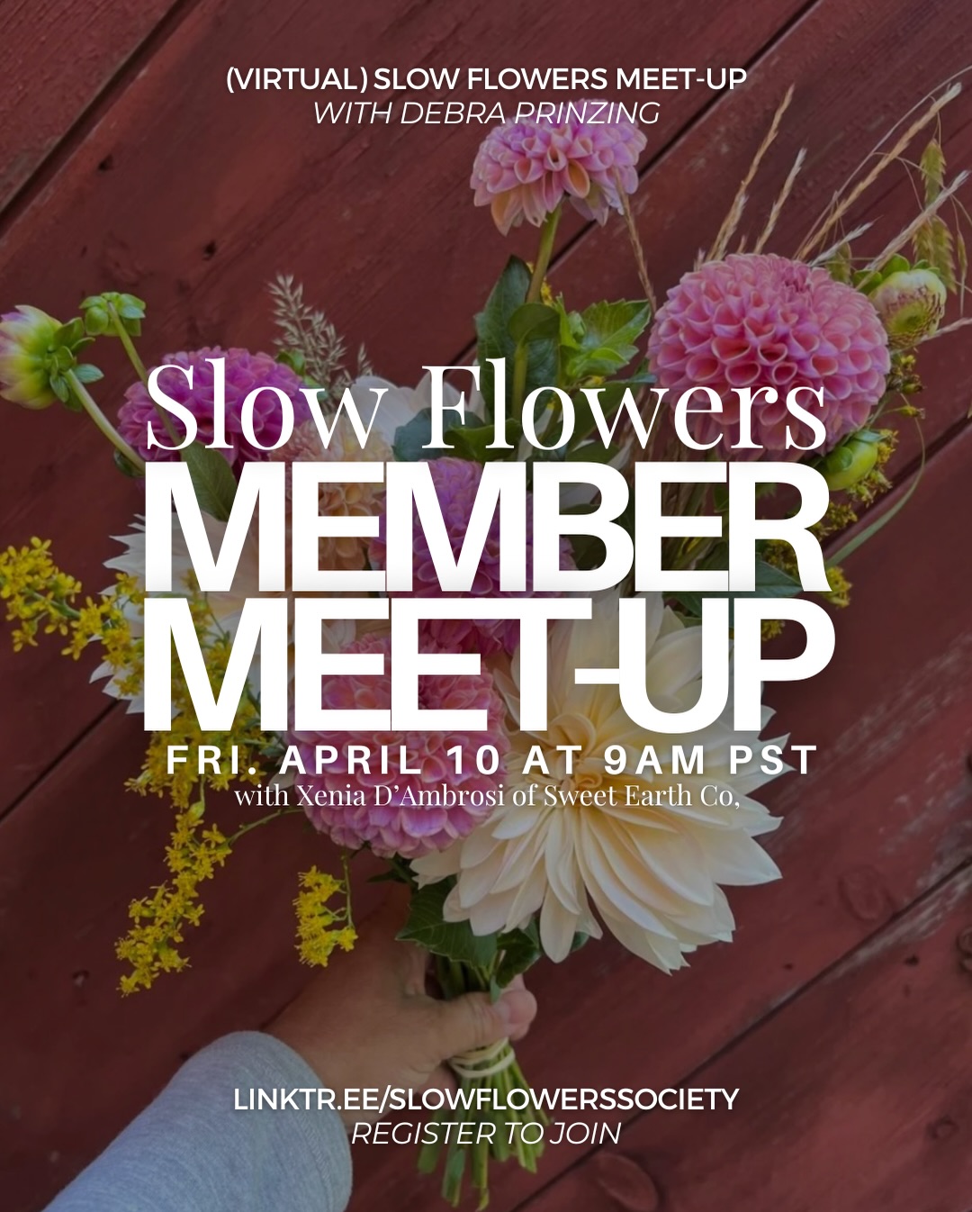 THIS FRIDAY‼️— Xenia D’Ambrosi of @sweetearthco will share how she developed an online course, The Eco-Friendly Cutting Garden, to teach students how to plant a backyard flower garden that benefits the environment. The course evolved from a series of in-person , on-farm workshops, adapted to an online format to serve a wider population of cutting garden students. Xenia will discuss how she developed the course, the demographic of her students, and the ways this course reinforces her brand as a sustainable cut flower grower and designer.
We are talking the topic “Teaching Others: The Eco-Friendly Cutting Garden” — don’t miss out!
We hope to see you there! Register now at the link in our bio — or drop a “🌱” in the comments and we will dm you the link!
#slowflowerssociety #slowflowers #slowflowersmovement #sustainablefloristry #sustainabilty