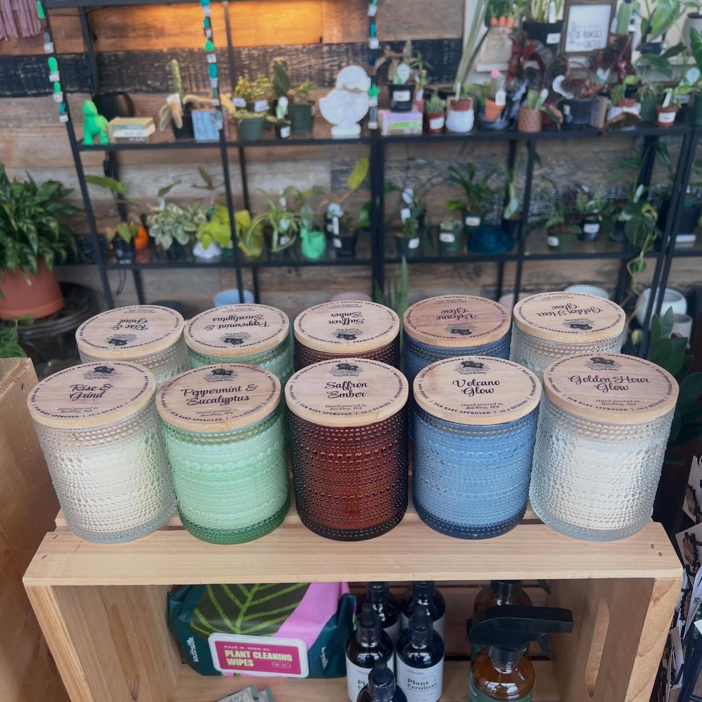 Pups N’ Blooms candles are officially on both sides of the bridge ♥️
You can now shop your favorite clean-burning, hand-poured candles locally at:
🌿 Esa’s Dirty Plant Mix in Enumclaw (@esasdirtymix)
💇🏻♀️ House of Strands in Buckley (@thehouseofstrands)
Made with 100% soy wax + non-toxic fragrances, they’re safe for the whole family (even the fur babies 🐾)
Whether you’re running errands or just out exploring, stop by to restock your favorite scent or discover a new one—no waiting for a market.
✨ Limited edition candles are available online or at Esa’s Dirty Plant Mix only
