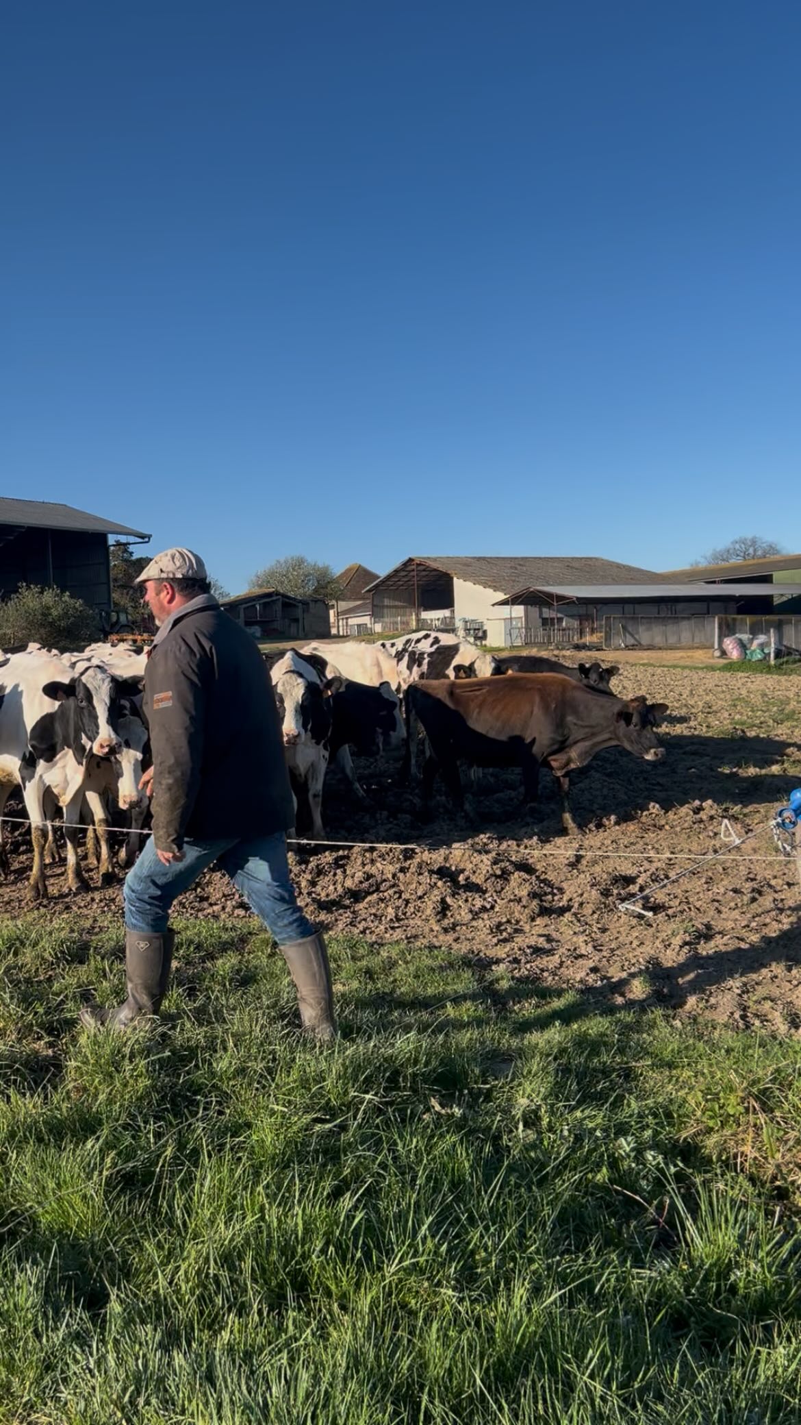 Spoiler alert : On vous emmène bientôt dans les coulisses de notre terroir 🐄🤍
Préparez-vous à découvrir les histoires, les anecdotes… et peut-être quelques vaches trop mignonnes 👀
#biochampslaiterie #eleveurs #laitbio #ariegepyrénées #piémontpyérénéen