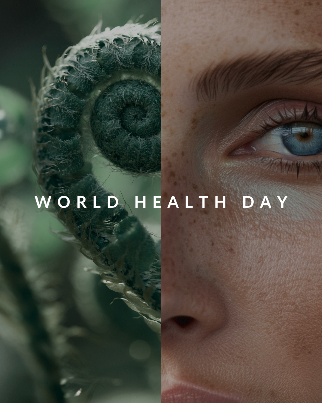 World Health Day reminds us that the future of medicine lies not only in treatment, but in understanding the body early enough to support health before illness begins.
Guided by P4 medicine, predictive, preventive, personalised and participatory, every journey at Reborne Longevity begins with where you are now.
Looking to better understand your health? Discover our personalised consultations, designed to explore your wellbeing through a preventive, longevity-focused lens.