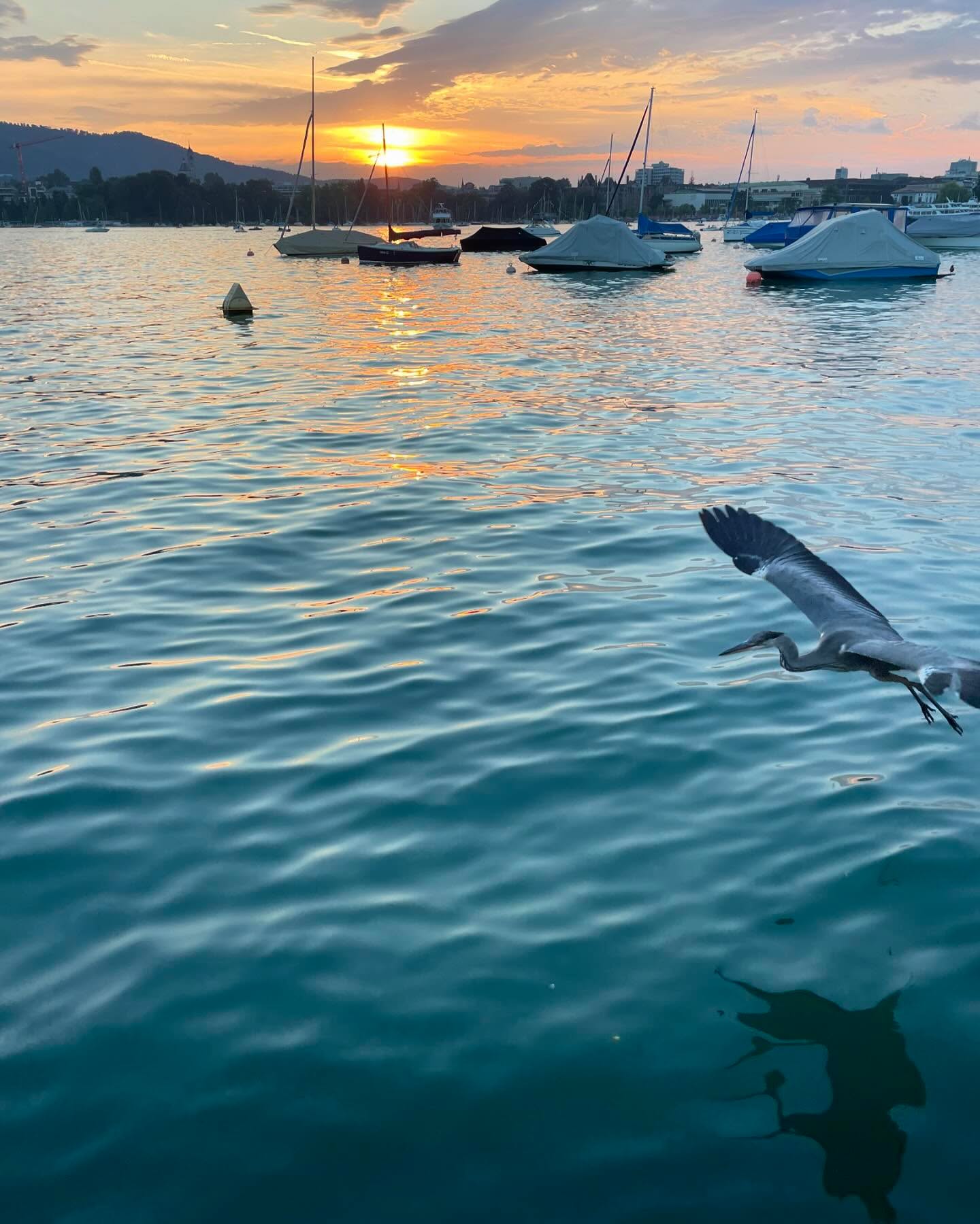Element Wasser 💦🐠 …für mich ein grosser Kraftort!
Diesen Sommer ist mir einmal mehr aufgefallen, wie gut mir das Schwimmen tut! Im Wasser lösen sich all meine Gedanken, Sorgen und mein mentaler Stress in Luft auf, oder ordnen sich neu… Ich kriege Klarheit und kann meinen Fokus neu setzen. Bemerke danach oft, wie schnell man sich im Hamsterrad verrennt, aber doch eigentlich alles ganz einfach und banal ist. Aus der Vogelperspektive betrachtet 🦅
➡️ No worries, alles ist gut wie es gerade ist 😉
Ob im Wasser oder einfach am Wasser - für mich pure Meditation ✨ Danach fühle ich mich leichter, klarer und entspannter…
🌊 Die Wellen im Wasser erinnern mich an die Auf und Abs im Leben. Nach jedem Tief kommt wieder ein Hoch, nichts ist für immer, alles ist immer im Wandel, jeder Tag ist anders - wir können loslassen und vertrauen ✨
Wo hast du dein Kraftort? Wo kriegst du Klarheit und kannst dich regenerieren? Schreib mir gerne in die Kommentare, vielleicht kannst du jemanden damit inspirieren 😉🙏🏻