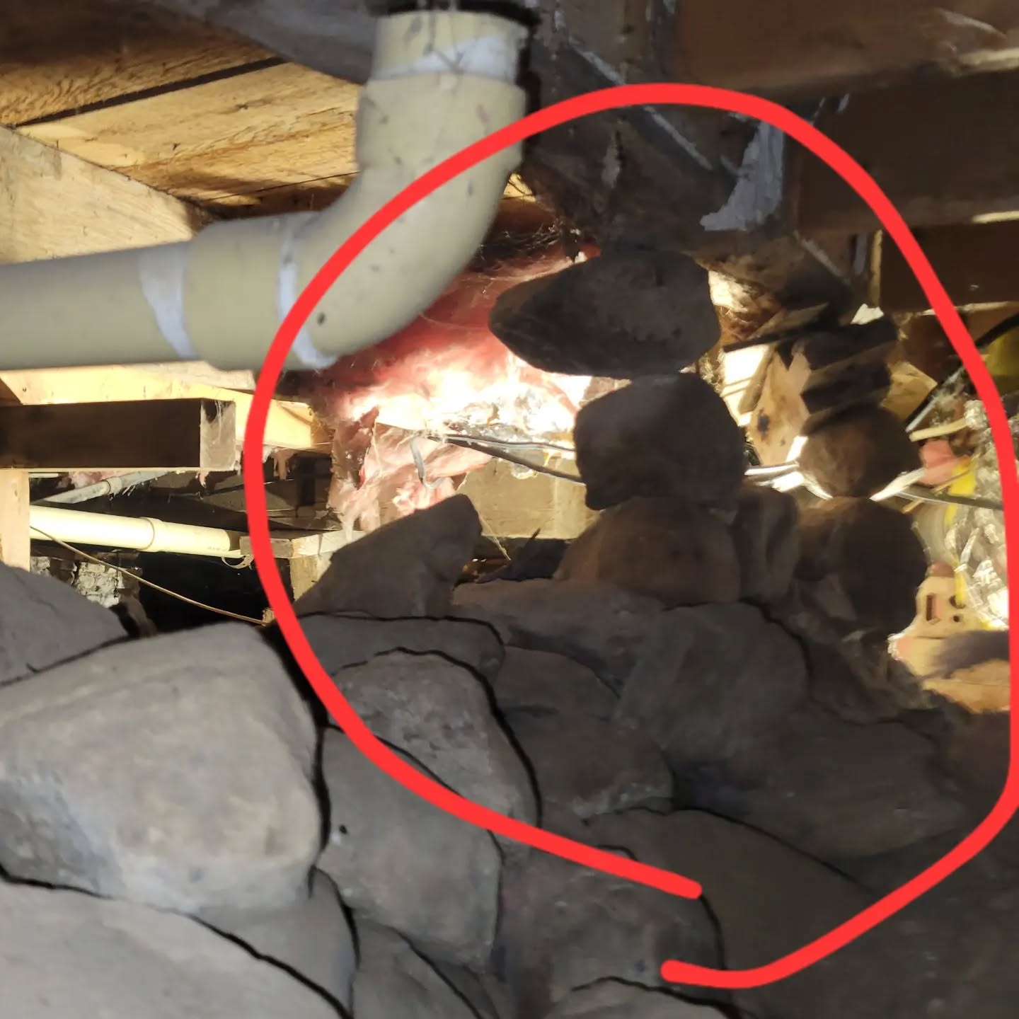 April recap!
Some very.... interesting... foundation supports
A few more examples of why water will always win over time
Fun cargo container build
Headliner lounge at CMAC up and ready for concerts.
What will May have in store??
.
.
.
.
.
.
.
.
.
.
.
.
.
.
.
.
.
.
#AprilShowers #BringFoundationHeaving #youcrackmeup #rocksareforskippingnotfoundations #woodyoulookatthat #icantcontainermyexcitement