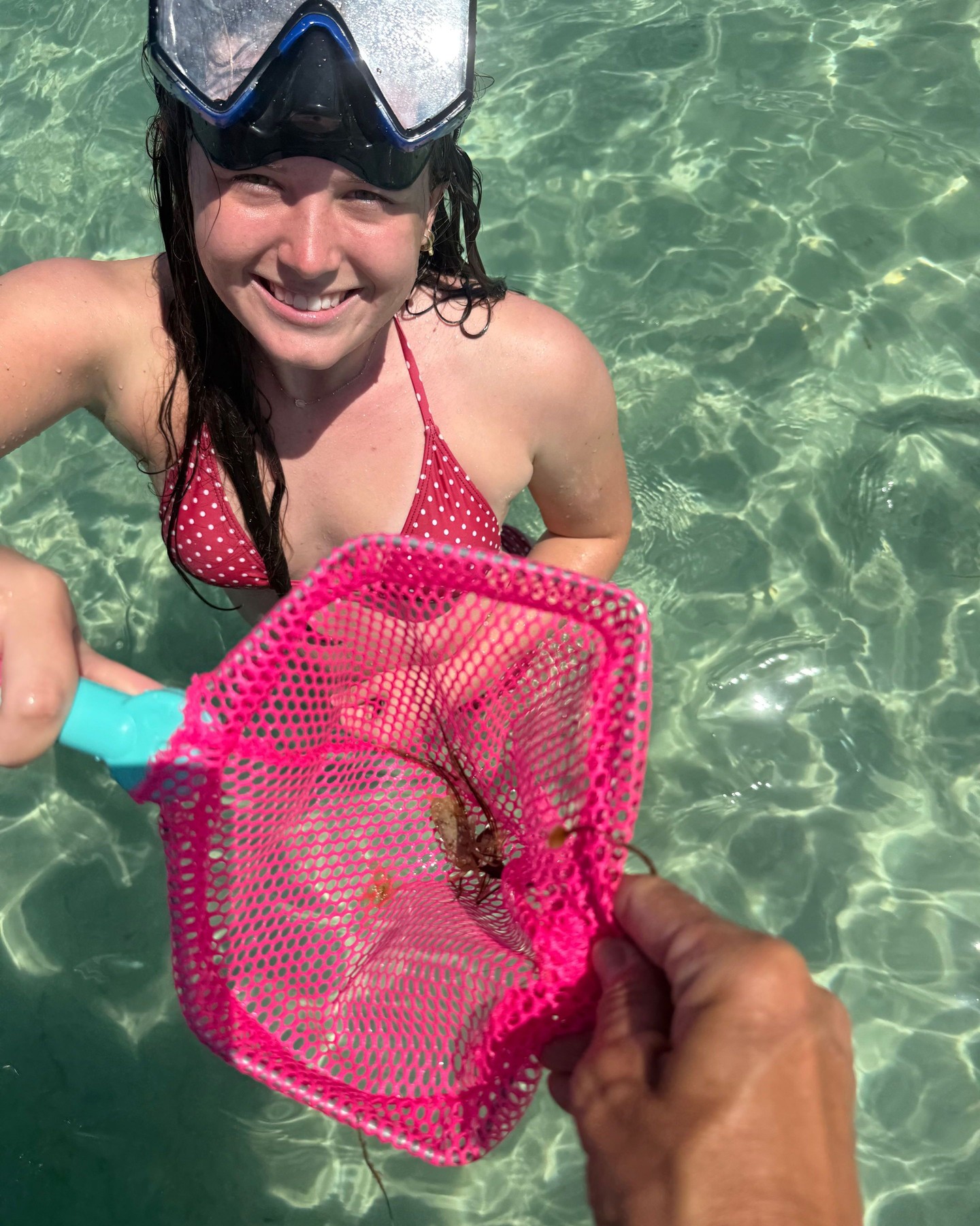 One of our favorite activities is finding hermit crabs at Crab Island! 🦀
📸: @captwendirealtor