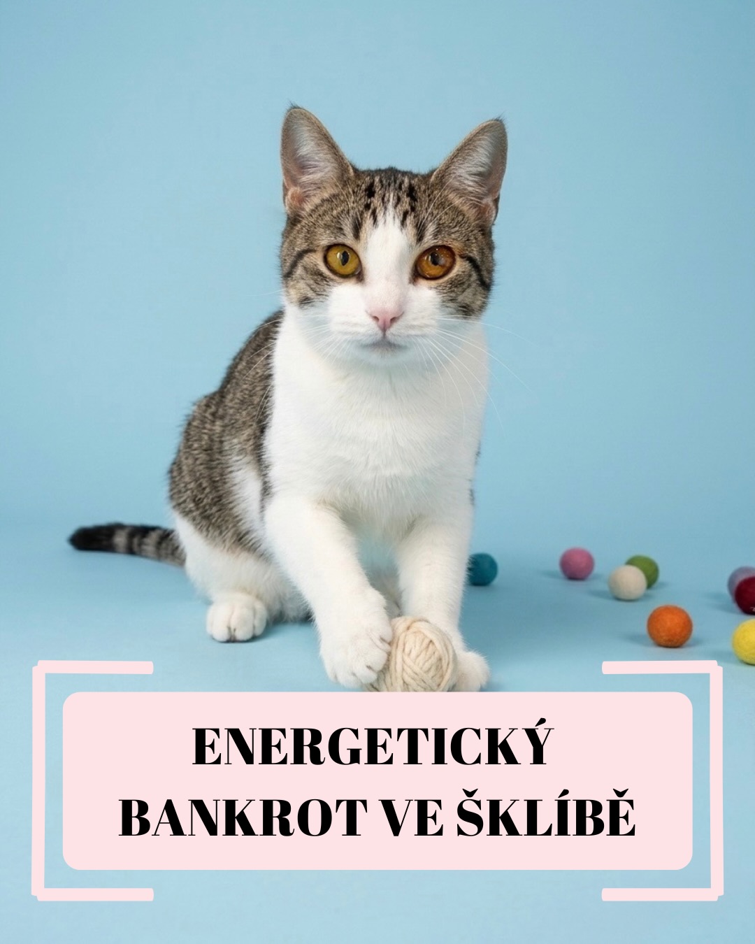 Znáte ten pocit, když se po dovolené vrátíte do práce a vůbec nevíte, kam dřív skočit? Tak my jsme sice úplnou dovolenou neměli – přece jen se nedá říct: „Sorry kočky, žrát se teď čtyři dny nebude, máme volno!“ 😂 – ale je fakt, že jsme se snažili aspoň trochu zvolnit tempo. No a dneska nás to regulérně kouslo do zadku. 🙈💩
Člověk si na to klidnější tempo odvykne až nebezpečně rychle. Vlítnout zpátky do toho kolotoče, stresu a nekonečného shonu, který obnáší péče přes 70 koček, byl dneska fakt náraz. 💥🐈
Výsledek? Nejenže si nikdo z nás nedobil baterky na 100 %, ale dneska jsme se už regulérně dostali někam hluboko do záporu. 📉🔋 Prostě ten opravdový odpočinek nám asi hrozí až ve chvíli, kdy s tím jednou provždy praštíme (což se samozřejmě nestane, protože ty kočičí čumáčky nás vždycky zase ukecají). 😅❤️
Dneska tedy jedeme na energetický dluh a kofeinový pohon. Držte nám palce, ať se z toho „záporu“ do rána vyhrabeme aspoň na nulu! ☕💪
Jak to máte vy? Taky se po každém pokusu o volno vracíte do ještě většího blázince, než ze kterého jste utíkali? Dejte nám vědět, že v tom nejsme sami! 👇💬
Terka ze Šklíby🐾