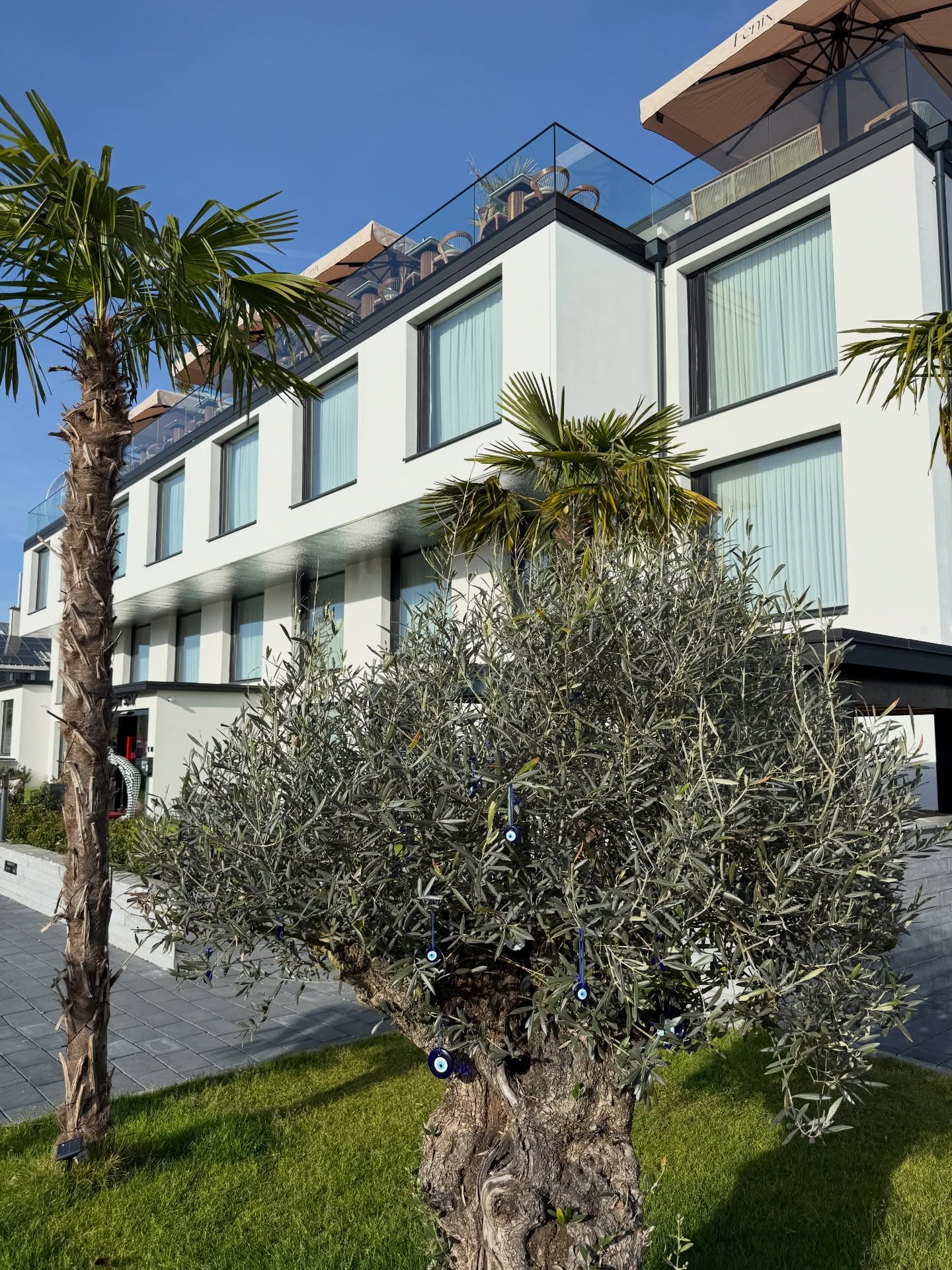 Everything just tastes better up here ✨🍸🍾☀️
#rooftop#rust#restaurant#food#hotel