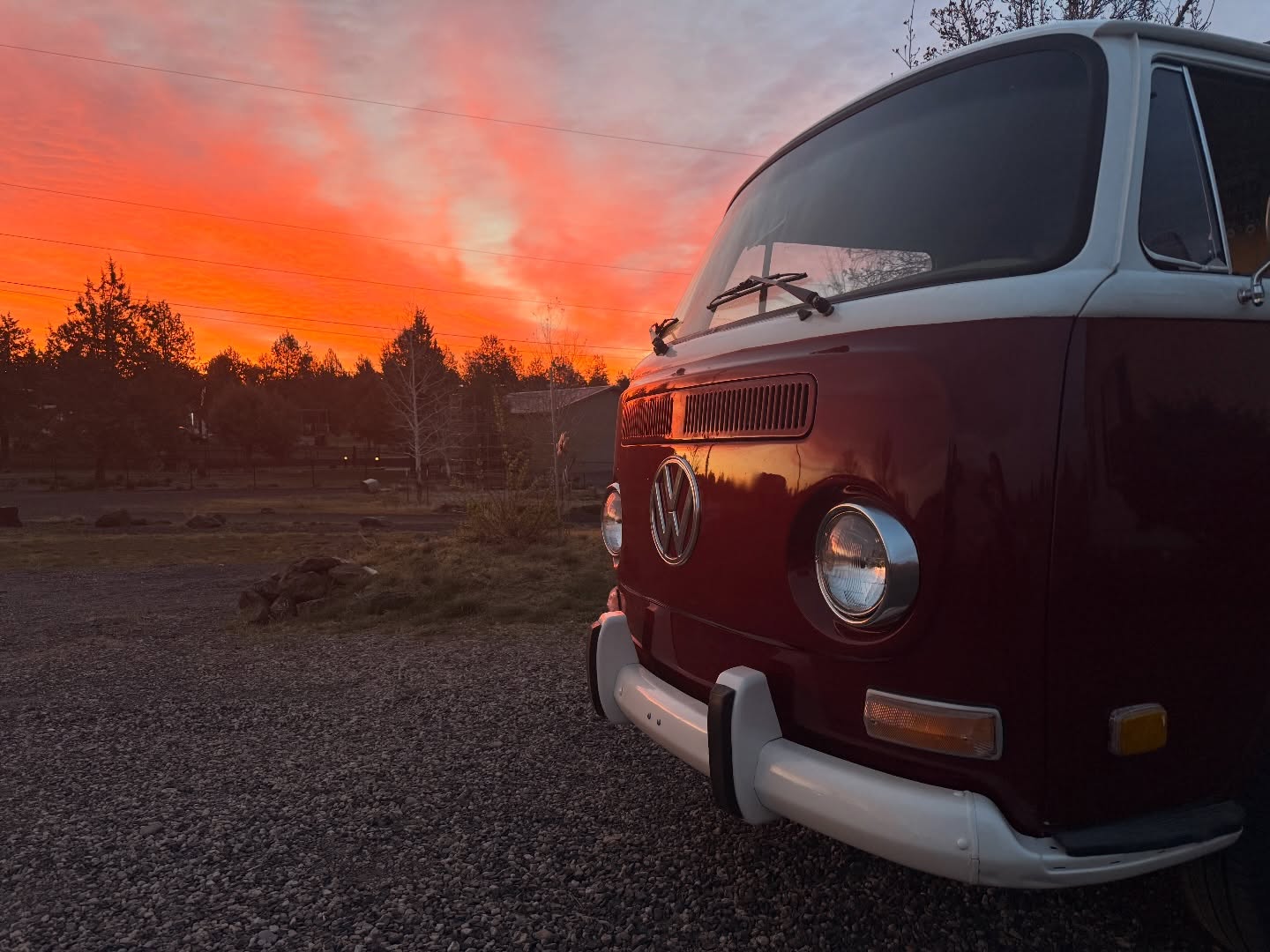 Ruby is SO ready for wedding season!