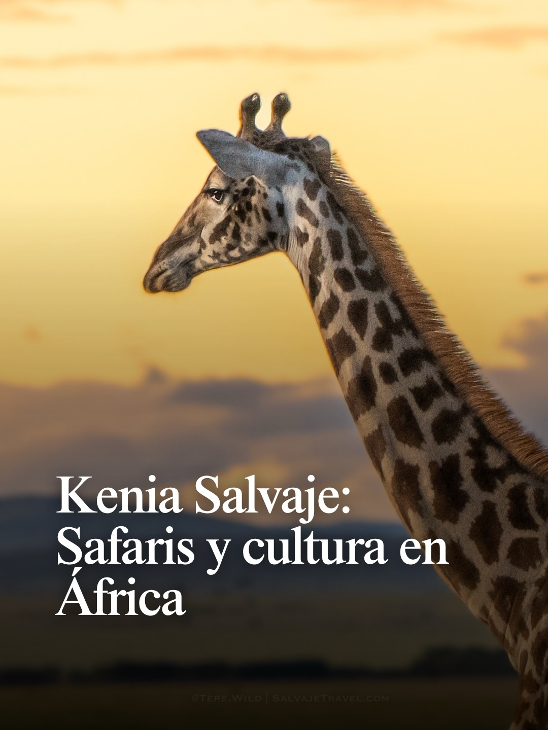 La mejor forma de describir este viaje es el contraste absoluto.
Primero, la energía de Kenia: despertarse con el sonido de la sabana, seguir el rastro de la fauna en el Masai Mara y conectar con la inmensidad de la naturaleza en estado puro. 🇰🇪
Después, el silencio de Zanzíbar. Cambiamos la tierra roja por la arena blanca y el agua turquesa. Unos días para procesar todo lo vivido, caminar por Stone Town y dejar que el ritmo baje a cero.
De la sabana al océano.
¿Te sumarías a esta travesía? Déjanos saber en comentarios. 👇🏻