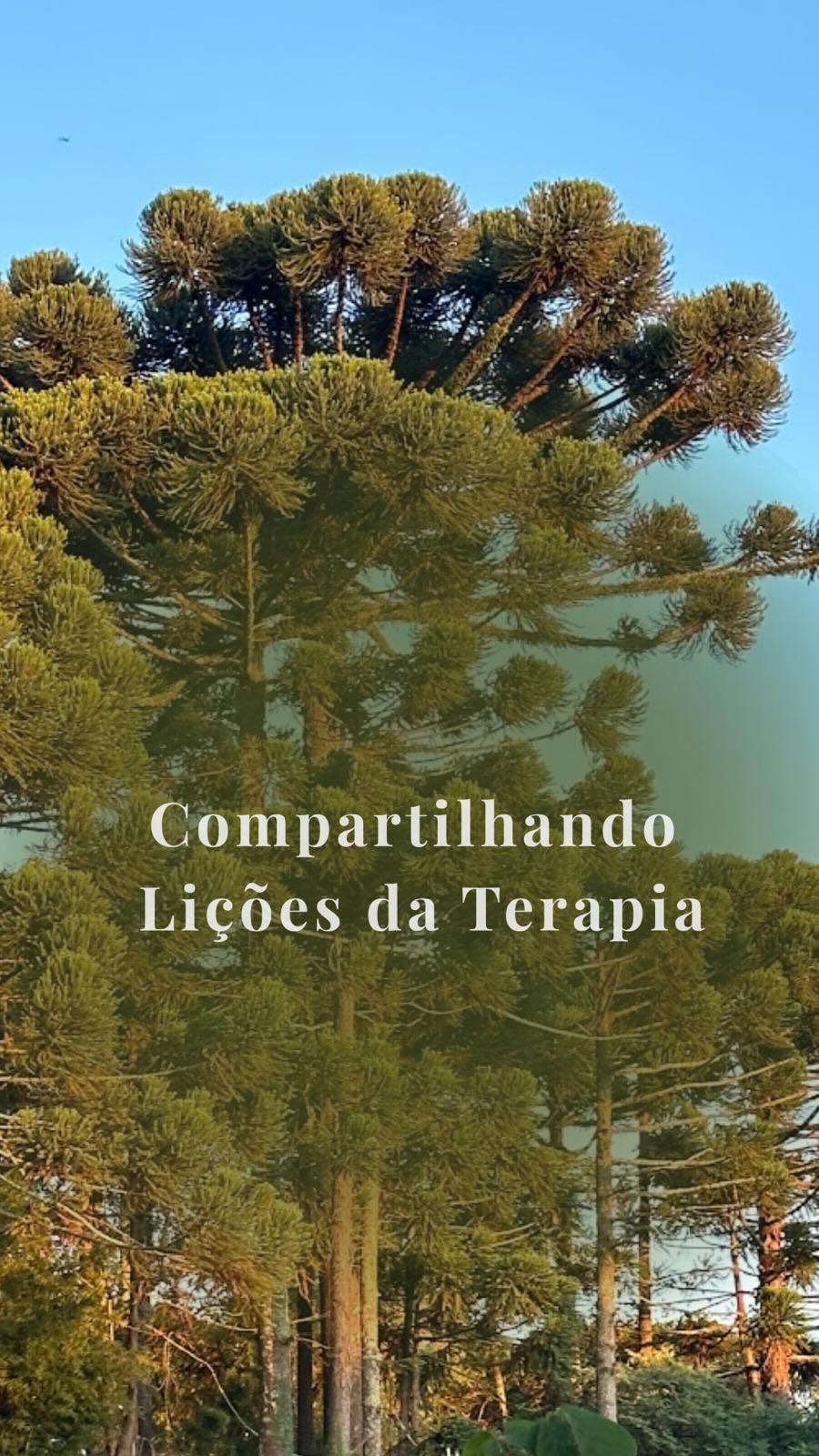 Lição da sessão: Não tome atitudes em relacionamentos com a intenção de consertar o outro 🤕.
.
Doeu aí ?
Pq aqui doeu 🤣
Na minha última sessão de terapia eu aprendi que se a minha intenção não está clara e se eu tenho objetivos que não dependem de mim exclusivamente, então a probabilidade de eu me frustrar é praticamente garantida.
Eu estava presa no meu ego e acreditando que com toda minha empatia e compaixão eu conseguiria abrir ou cutucar feridas antigas e depois sair de mãos dadas rumo ao pôr do sol com a pessoa 🤣
Por isso decidi compartilhar com vcs, porque assim como eu precisava lembrar que eu preciso ter responsabilidade sobre as minhas palavras e ações, talvez alguns de vcs também precise.
Me conta nos comentários, faz sentido pra você ?
.
#liçõesdaterapia #processodevida #responsabilidadeafetiva #crescimentoemocional #almasviajantes