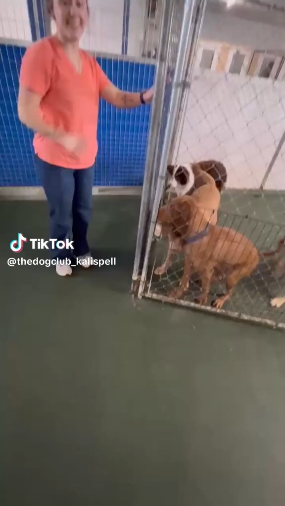 Easter fun happened early at The Dog Club this week — and your pups nailed it.
Wishing you all a wonderful Easter weekend with your sweet dogs. 🌷🐾