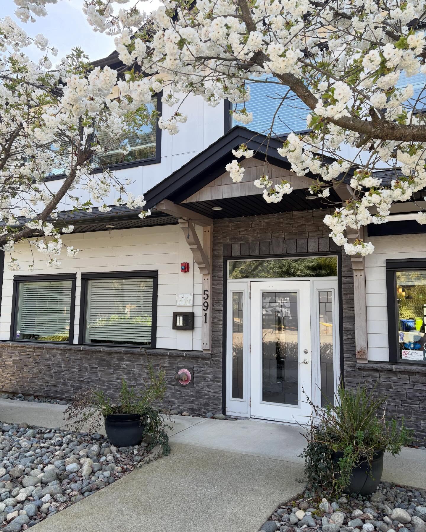 Back to Back is looking stunning today with these blossoms!!🌸🌸🌸
#westshorechamberofcommerce
@westshorechamber