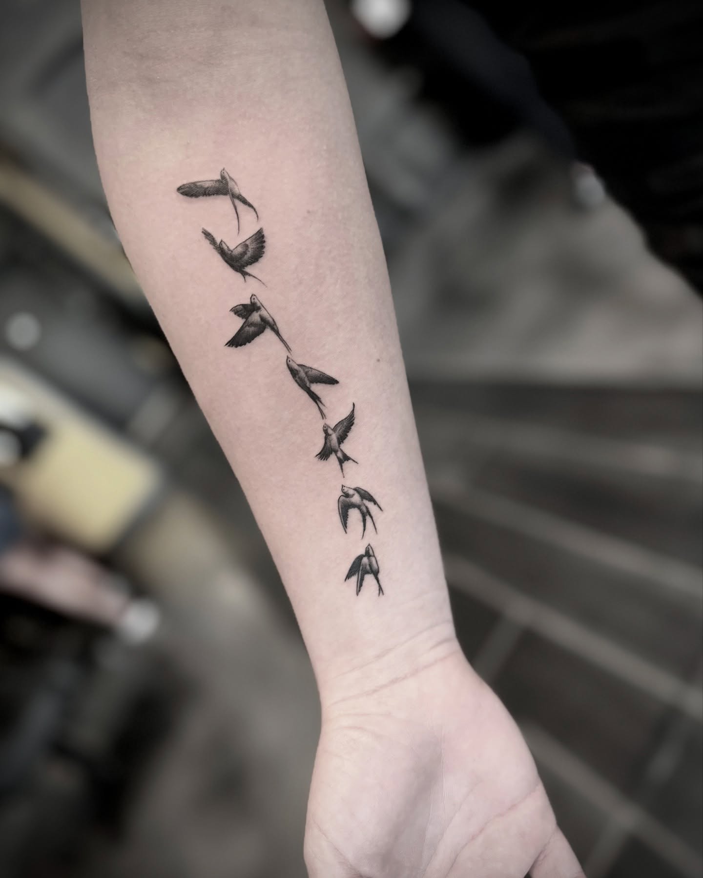 Grace in flight, freedom in form. ✨ A delicate black and gray tattoo capturing the effortless beauty of a bird soaring across the forearm. Every feather, every curve tells a story of freedom and endless skies. #TattooArt #BlackAndGray #DelicateDesign #BirdTattoo #InkInspiration #FreedomInFlight”