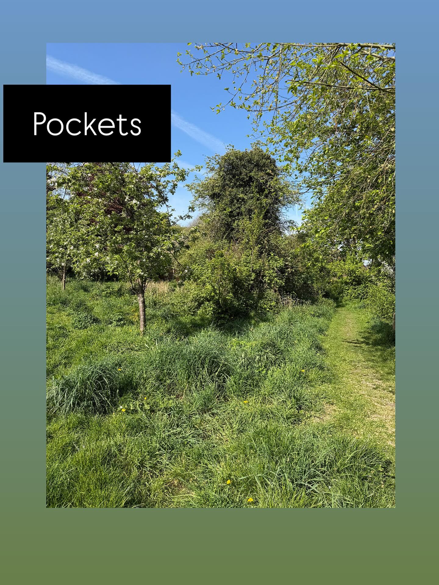 There’s something about a pocket that just feels like a treat or a gift.
I mean give me a dress with pockets and I’m sold. No questions asked.
But today i came across a different pocket on my walk - this tiny pocket of greenery. Not RHS horticulture or sure but beautiful nonetheless. It made me think how many of these little pockets exist in a day that I usually walk straight past head down, bulldozing through the day.
Maybe I’ll make a point of seeking out pockets?
A bit of daydreaming between tasks, a little corner of the house that is being lit by the sun or maybe a moment where you actually feel present in what you’re doing.
So easy to miss if you’re charging through.
Maybe life isn’t always in the big stretches. Maybe it’s in these pockets. Anyway, that’s what I’m taking from today.
Pockets. 😊
Curious… what’s been a pocket for you this week? 🌿✨
#comfortableconfidence #sundaythoughts #smallmoments #mindfulmoments #noticing #presence #everydayjoy #slowdown #findthegood #coachlife #pockets #pocketsofjoy #pocketsofcalm #pocketsofbeauty