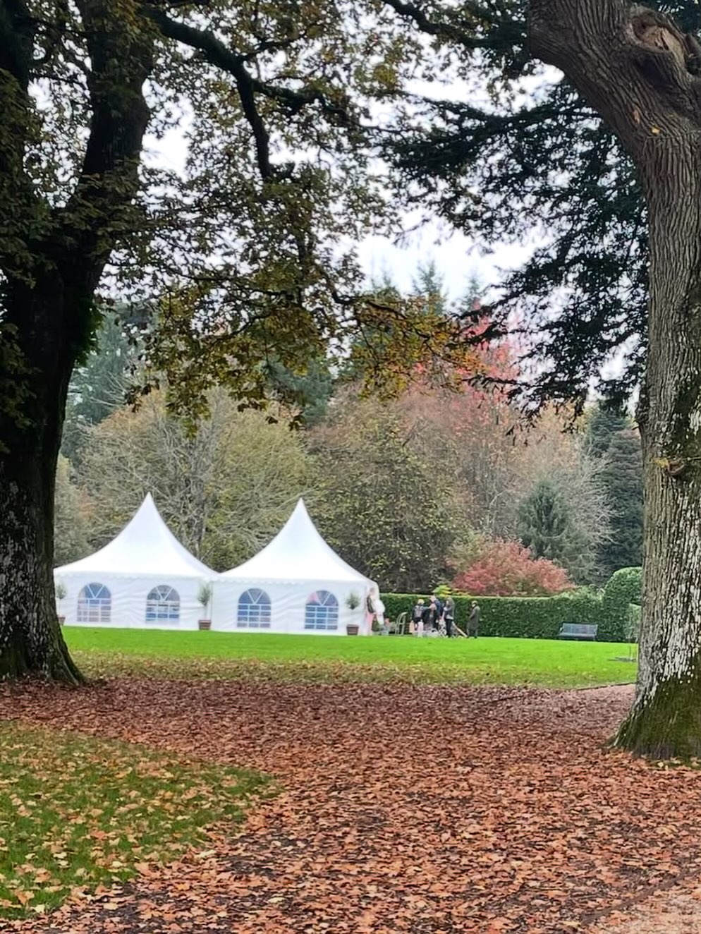 The Spring Brocante
May Day Weekend
3 - 4th May
Larmer Tree
40 beautiful independent stands will be brimming with Brocante and homewares in this award winning location set in the Cranborne Chase hills on the Dorset/Wiltshire borders @larmertree 🌿
We look forward to seeing you again in 5 weeks’ time over the May Day weekend 🌿
Light refreshments & artisan coffee will be served each day 🤎
Workshops 🌸
Artisans | Decorative Antiques | Ceramics | Lifestyle | Vintage Finds | Interiors | Small Furniture | Textiles | French Brocante