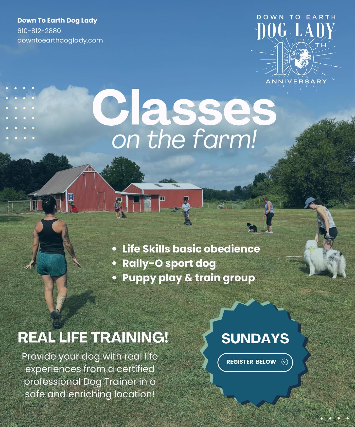 Farm classes are back and we are so excited to see you out here!!!
Farm Dog Drop-In classes are the perfect way to work on real-life skills with your dog, without the pressure of a long-term commitment. Drop in when it works for you and leave with practical tools you can use the very next day.
✨Here is what we work on:
Recall around distractions. Loose leash walking. Greeting strangers politely. Ignoring livestock. Building confidence in public spaces. And whatever your dog needs most that day.
✨We also offer Rally-O, a sport-based class where you and your dog navigate a course together, building teamwork, focus, and some serious fun along the way.
All dogs welcome. All experience levels welcome. Four acres of beautiful outdoor space to learn and grow together.
Spots are limited so head to the link in my bio to register, or go directly to downtoearthdoglady.com/classes to see upcoming dates and sign up.
See you on the farm!!
#FarmDogClass #chestercounty #dogtrainingclass