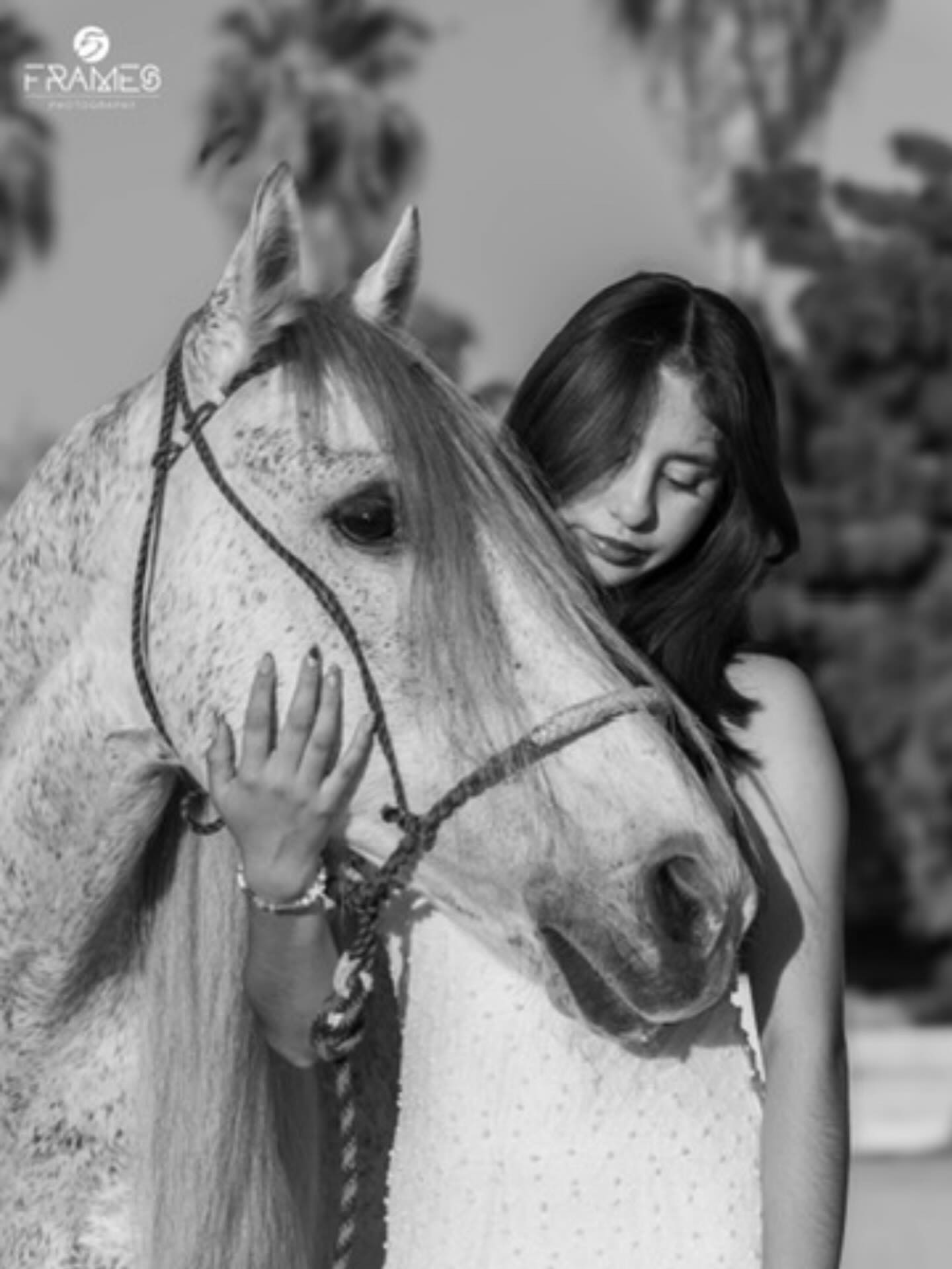 #pictureoftheday #photographerloscabos #photoshoot #horsepictures #loscabosm