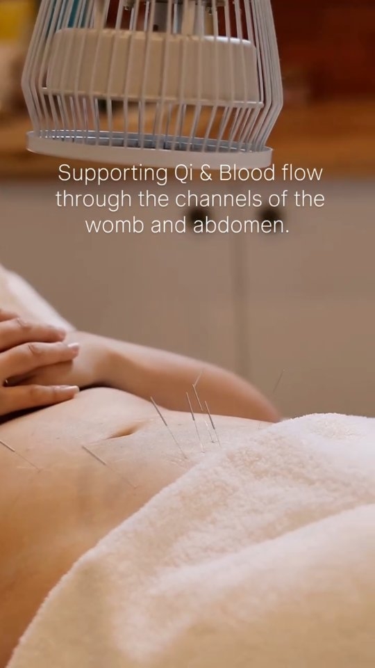 Your abdomen is more than just digestion in Traditional Chinese Medicine.
It’s the centre of transformation, where food becomes energy, and where Blood and Qi are generated to support your entire system (including your reproductive health).
Abdominal acupuncture points help:
✅Support digestion and nutrient absorption
✅Move stagnation and reduce bloating
✅Support QI and blood flow to the uterus and ovaries
✅ Support the menstrual cycle and hormonal balance
#acupuncture #digestivehealth #fertilitysupportbrisbane