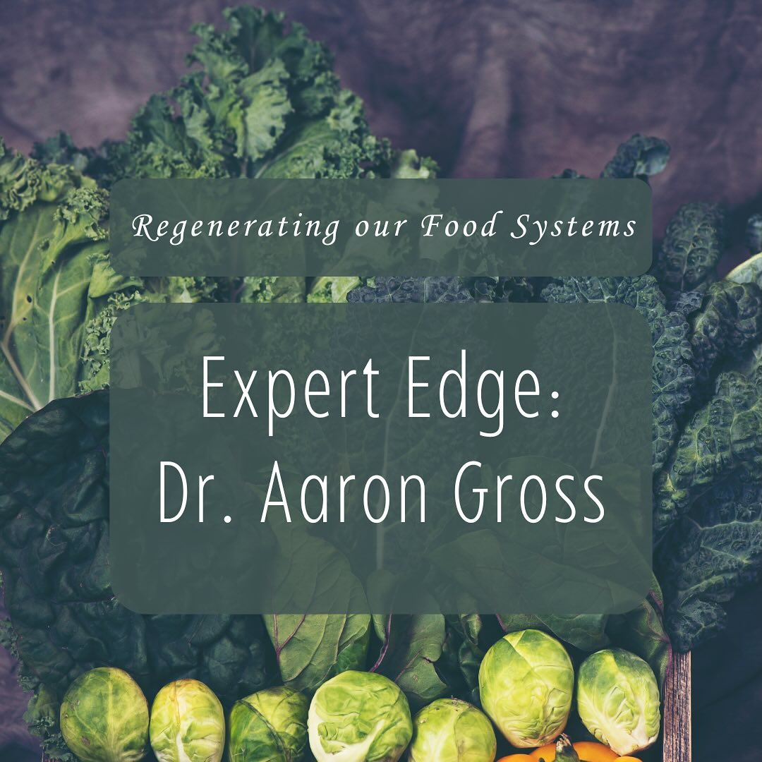 As a prominent scholar in food and religious studies, Dr. Gross’ research examines how food intersects with religion, ethics, and social issues, integrating insights from animal studies, ecofeminism, and race theory. His work highlights the ethical implications of food systems and how religious traditions shape and respond to these questions.
Interested in learning more about Dr. Gross’ research? Contact the EIL to learn more.