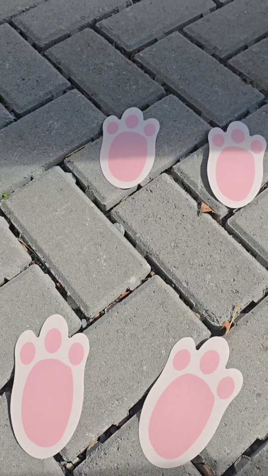 We are ready for the treats hunting at the Cool.vunny sitter hotel, preparing a lovely celebration for our Furry guests š...stay tune!!
Happy Easter š° š£ š
#thecoolbunnysitters #petsitting #rabbitsitting #bunny #easterbunny