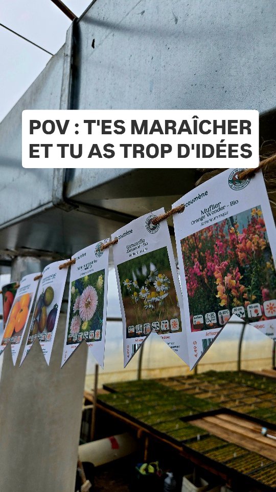 🎉 Chez nous, même les sachets de semences ont une 2e vie 😍🩷