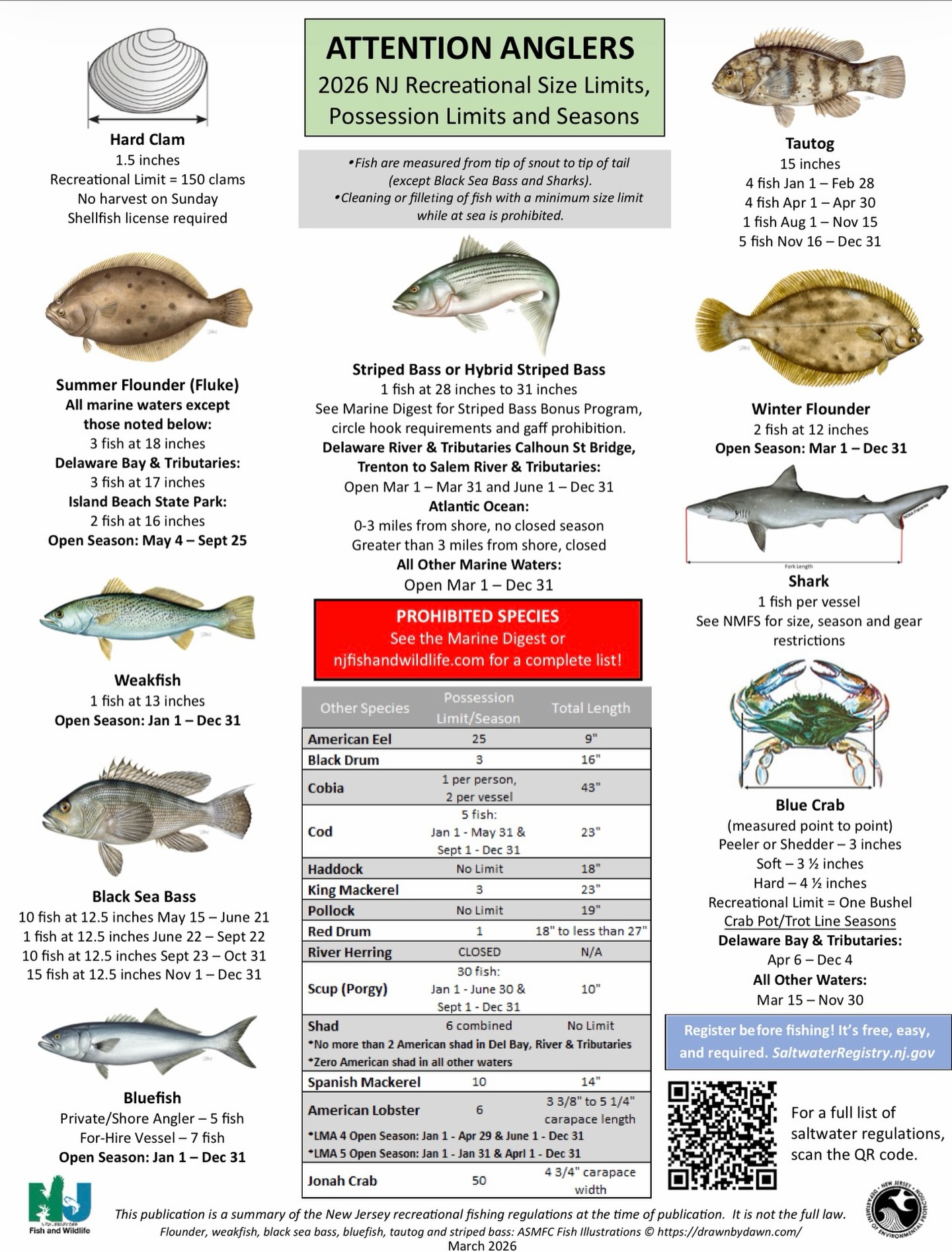 2026 saltwater regulations are finally set! We can’t wait to see everyone this season! Only a few dates remain, so if you want to fish with us this summer, shoot us a text or call ASAP!!!
•
•
•
💻www.nev-r-enufsportfishing.com
☎️609-304-5130
➡️nevrenufsportfishing@gmail.com
#nevrenuf #nevrenufsportfishing #fishingcharter #avalon #newjerseyfishing