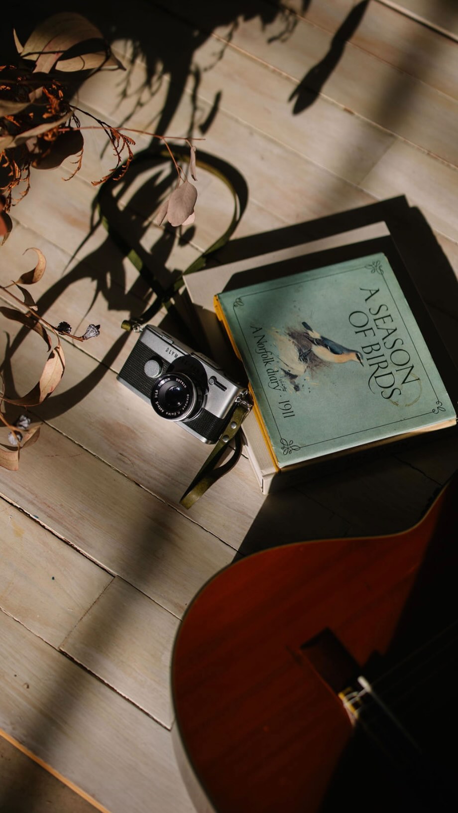 Quines ganes de fer-vos fotos a l’estudi! 🙌 ✨
Si ens escrius aquesta setmana entre avui i diumenge per fer una sessió en estudi, et farem un 10 % de dte. Ja sigui sessió corporativa, de producte, de retrat, d'embaràs... :)
Escriu-nos, parlem i ens veiem a @laloca_espai, una meravella del Riki i l’Irene 📷
🧡