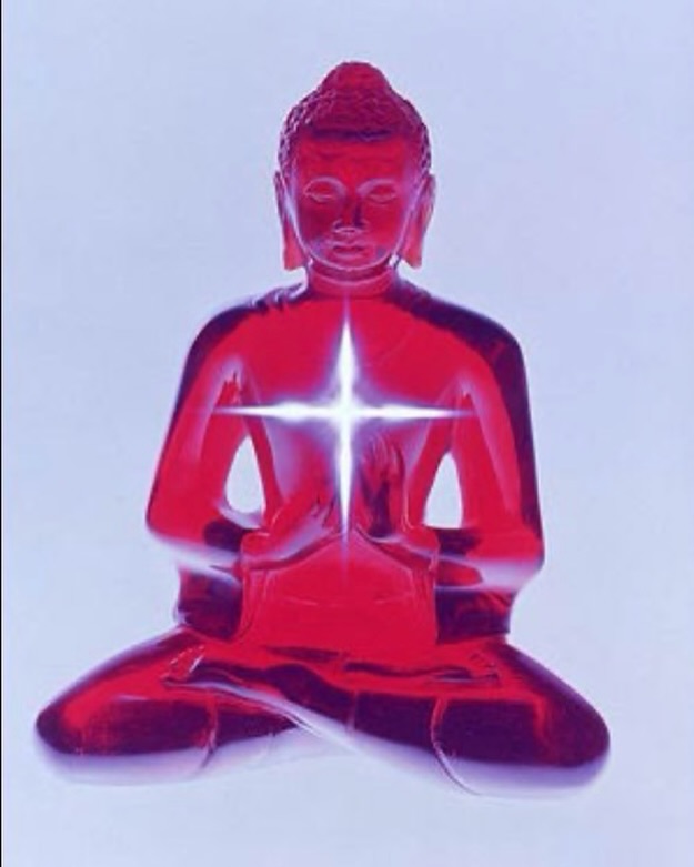 The eighth ray is also known as the synthesis ray. In that it synthesizes all of the seven rays into one rainbow body, the rainbow body, also known as the rainbow bridge Tibetan Buddhism is the entrance point to the return of the Divine mother and the Buddha realms. With the eight Ray, we are introduced to the five secret rays and the five Dhyani Buddha’s. Three hours we are in meditation and to greet the Buddha who resides in the crown chakra and in the chamber of the heart. Through our spiritual practice, through mantra, we desire to raise the sacred fire of the Divine mother (Shakti energy) from the base chakra to the crown to meet with the crown of golden light that represents the Divine Father. It is the Divine mother within us and our souls oneness with the Divine mother, that causes the light to rise along the spine, in adoration of the Buddha. The mother is in love with the Buddha, drawing the mother to the crown. The mother is rising to greet her Lord, and this gives birth to the inner Buddha, and the inner Christ . This is the purpose of these mantras and meditations. Join us Thursday evening at 6 PM either in person or online to experience the Ruby Ray and introduction to the Five Secret Rays. #ascensionteachings.
#12rays #Meditation #Pranayama #KundaliniYoga