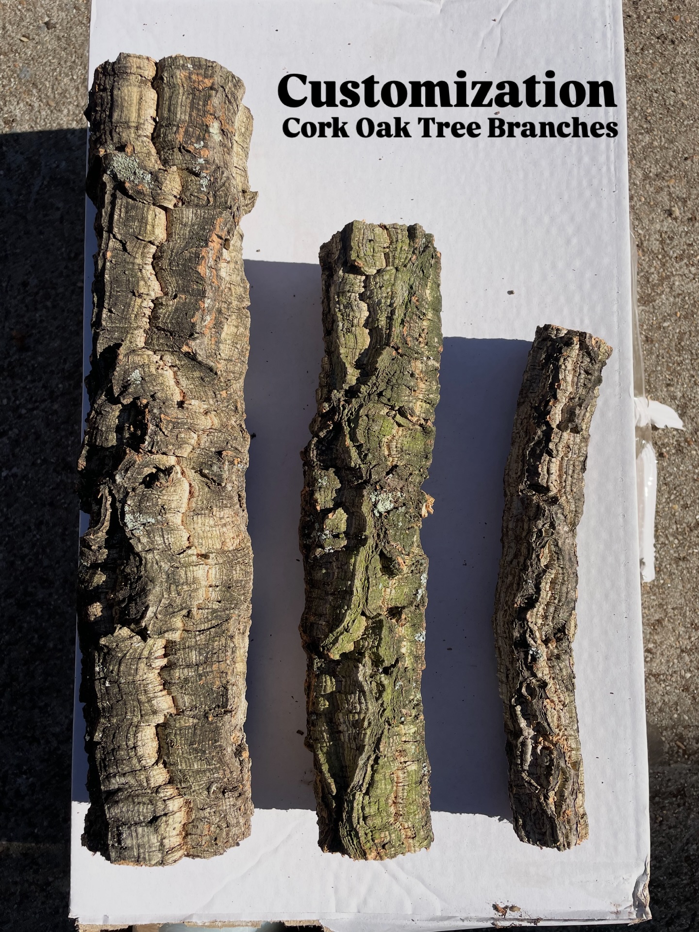 Cork Oak Tree Branch
Customization Sample
#corkoak #petsuppliesplus #petsupplements #petsupply