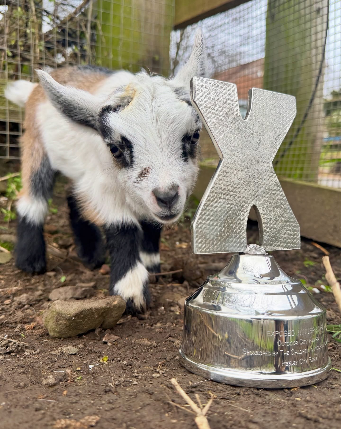 ⭐ It’s time to vote in the Exposed Awards! ⭐️
There are some fantastic contenders across a whole range of categories and we’d love it if you’d take a moment to have your say.
Maybe we’re your favourite local café? ☕
Maybe Heeley Festival is your favourite local event? 🎶
Or maybe you value the positive impact the farm has on health, wellbeing and local community life? 🌿
If the farm means something to you, we’d be so grateful for your support. Every vote helps shine a light on the work we do 🫶
🗳️ Votes are open until 17 April, so don’t miss your chance to support your local favourites!
Thank you! 💚
https://www.exposedmagazine.co.uk/exposed-awards/exposed-awards-2026-voting-open/
#exposedawards #charity #community #cityfarm #sheffieldissuper