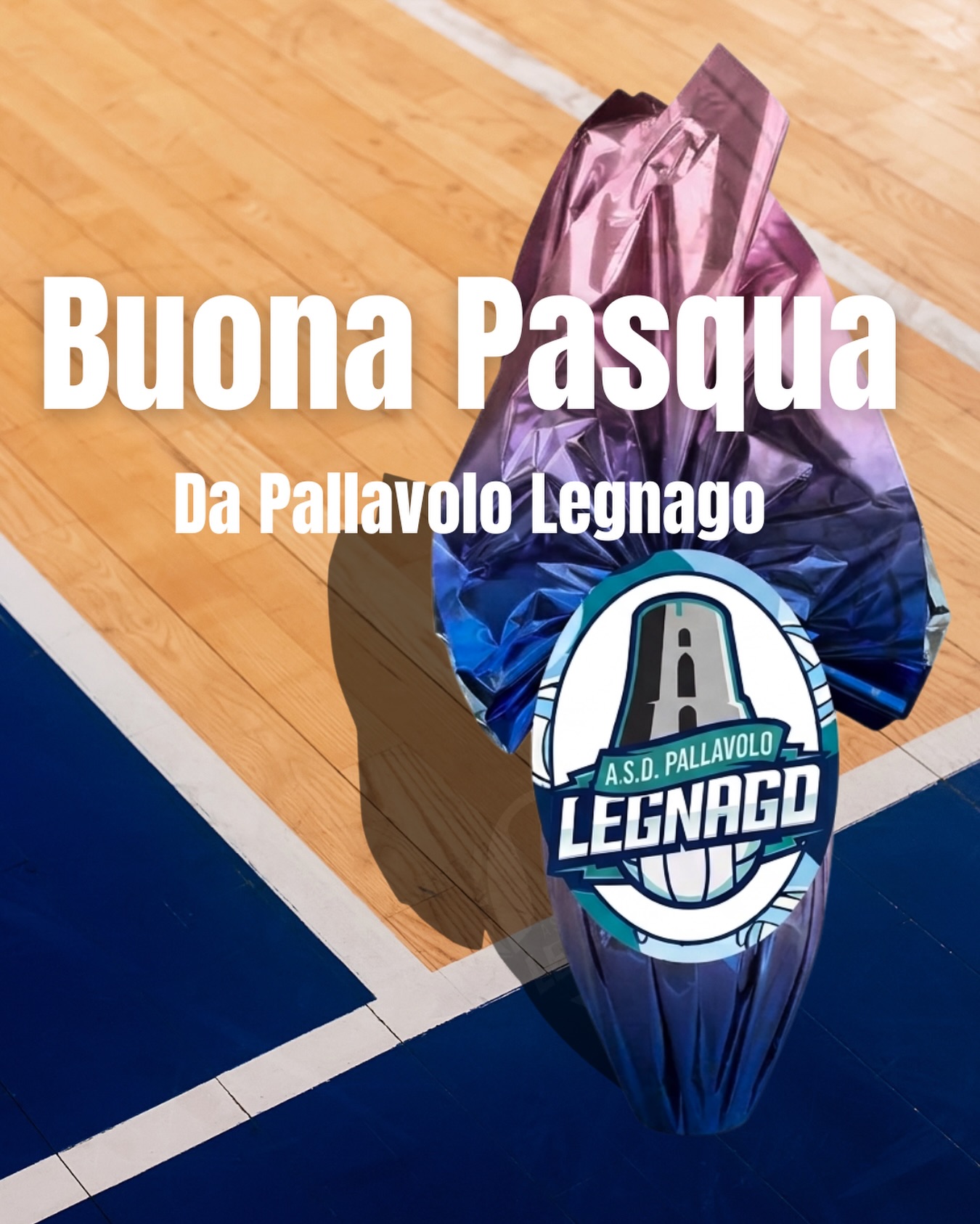 Buona 🐣 Pasqua!
#asdpallavololegnago