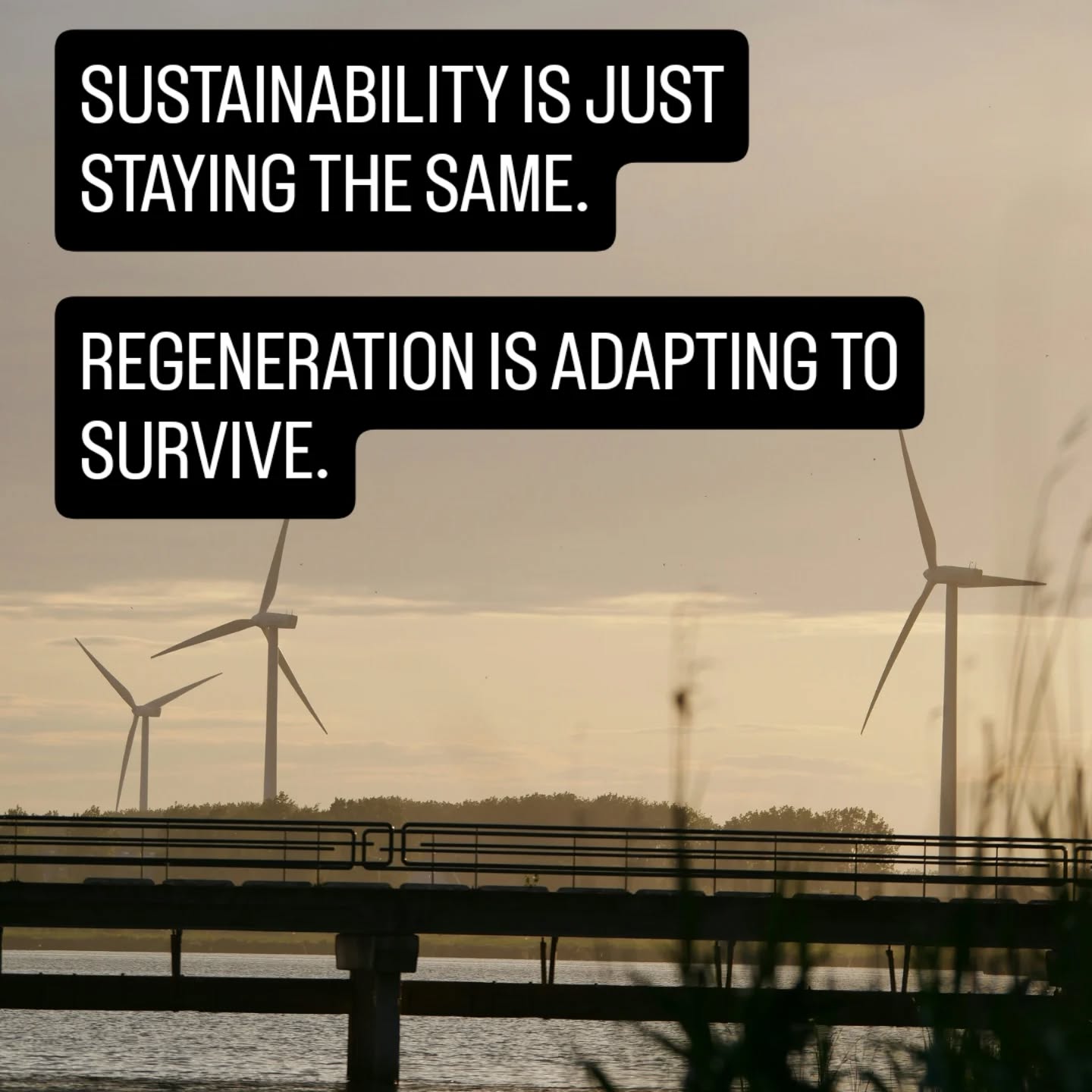 If your strategy for the coming decade is still Sustainability, you’re bringing a 2010 mindset to a crisis that isn't waiting for you to catch up. Sustainability is about holding a status quo that no longer exists. Regeneration is the survival instinct required to actually thrive.
📅 Sat, April 11 | 19:30
📍The Book Nook, Singel 82, Amsterdam
🍷 Drinks on the house (Alc, Non-alc) + light snacks
🎟 Link in Bio to Secure Your Seat
Our Early Thinker tickets are officially Sold Out!
We’re gathering a room of curios people who are tired of the surface-level green talk and want to look at the cold math of survival. Standard seats are 17 Euro, but if you’re bringing an intellectual partner-in-crime, grab the Duo Ticket for 30 Euro.
________________
More about the talk:
In a city sitting -2 meters below sea level, staying the same is an experiment in denial. Shira Goraly-Hochberg (MA) is dismantling the buzzwords to look at the science of urban survival.
What we are covering:
The Efficiency Trap: Why modern cities optimized for convenience are mathematically more vulnerable to systemic shocks.
The Social Factor: Why human networks are more critical to urban survival than physical architecture.
Transition Logic: A strategic framework for understanding how urban environments actually adapt when pushed to their limits.
________________
Think and Drink isn't a lecture hall - it's a salon. We provide the experts and the spirits; you provide the curiosity.
Are we designing a city that thrives, or just one that is polite? Tell me which green initiative in Amsterdam you think is actually just climate theater. Let’s dismantle it.
Secure your tickets via link in bio.